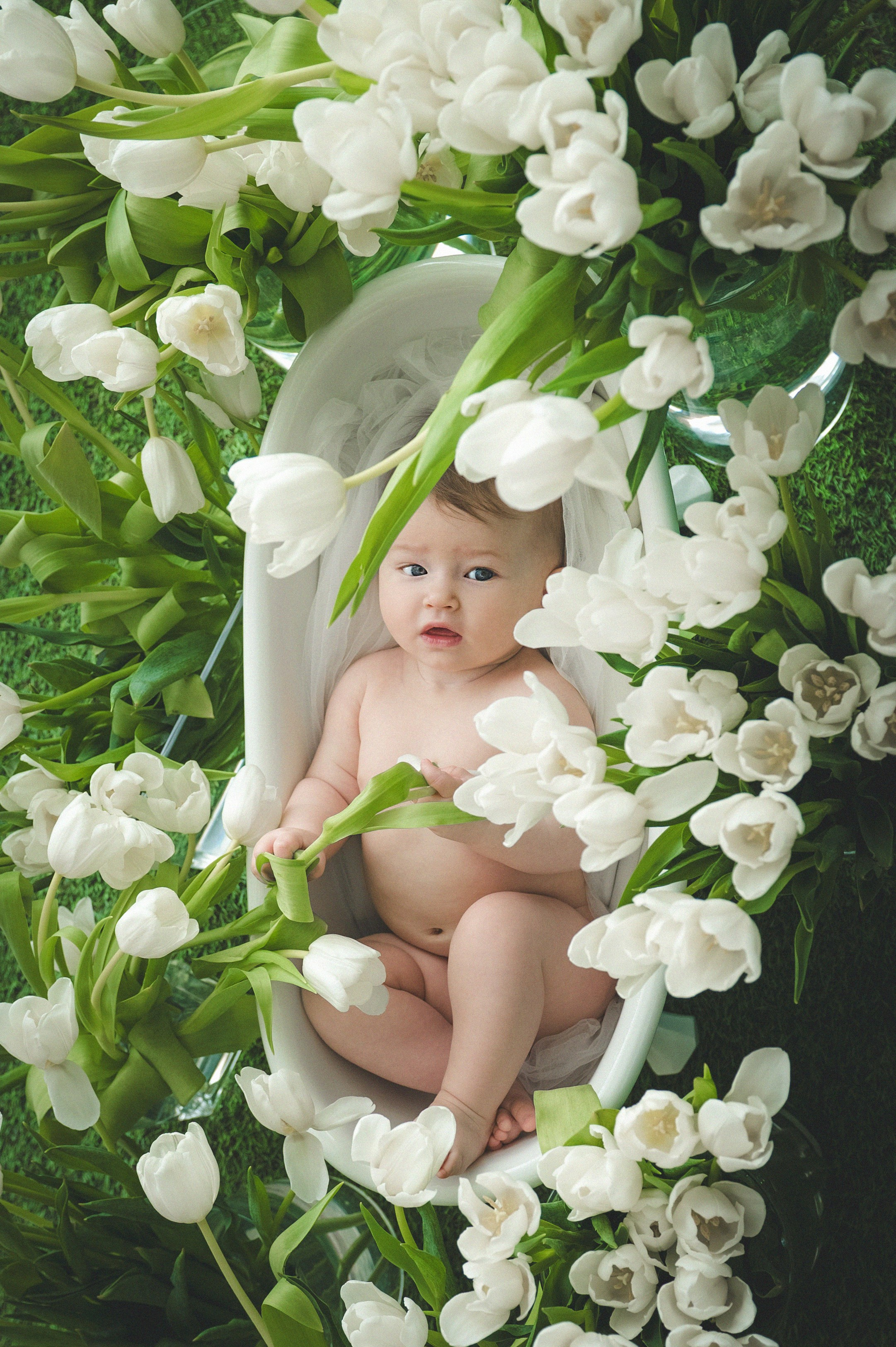 Тюльпаны. Фотограф новорожденных и детей в Барнауле — Екатерина Шапкина