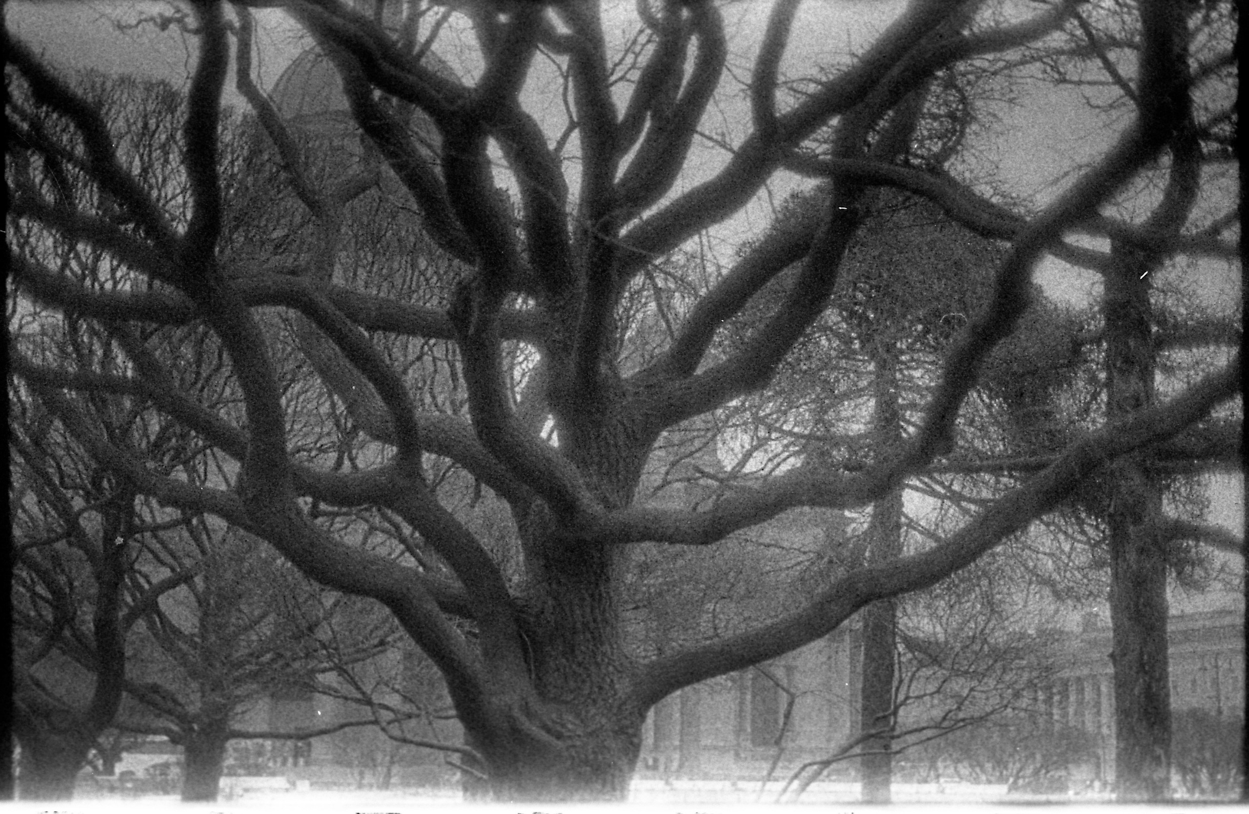 Dream chronicle. Part II. Pictorial dream — fine art fil photography by Yaroslav Pavlov