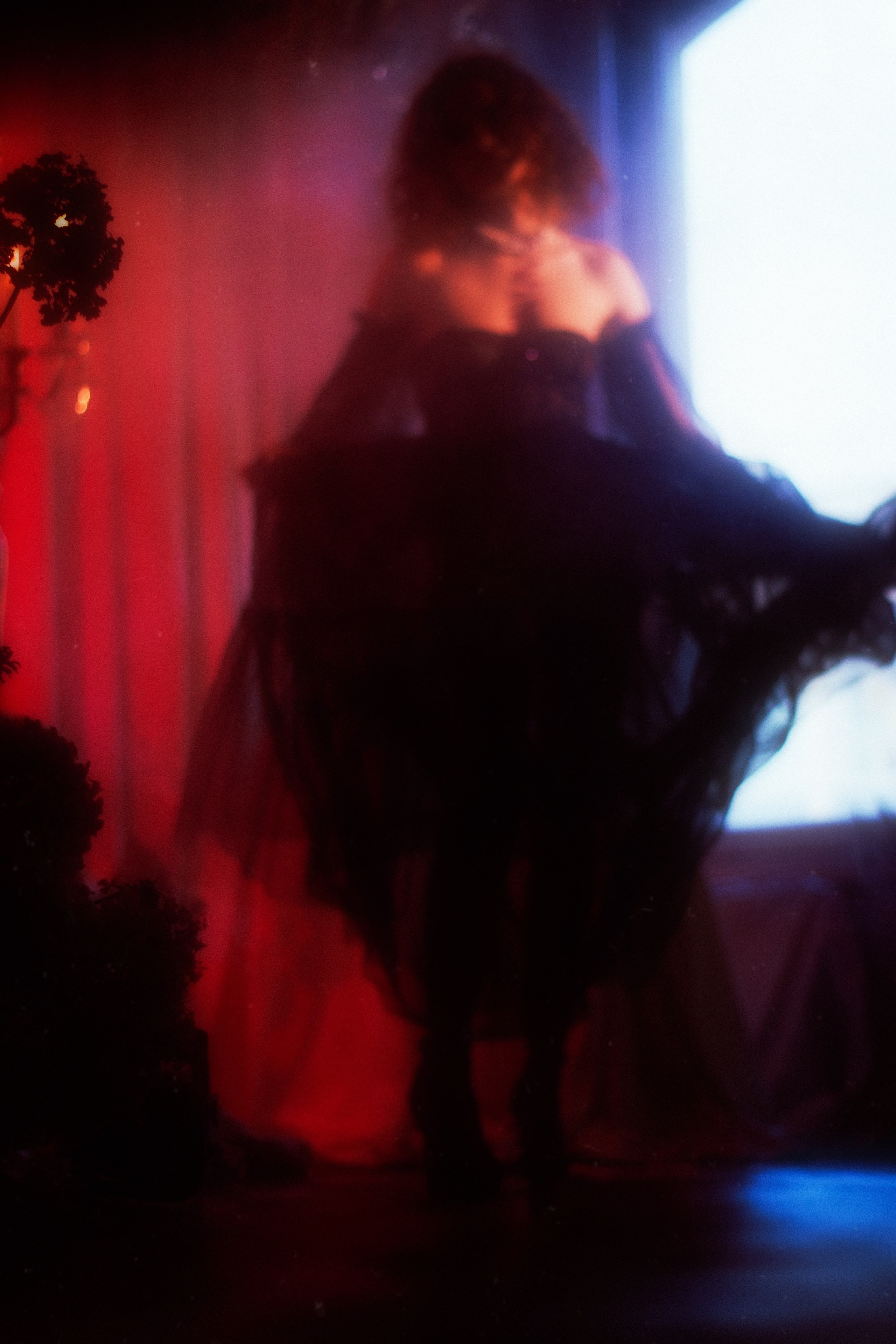 Noblesse vampire (Original), Санкт-Петербург 2024. Фотограф NotSilver