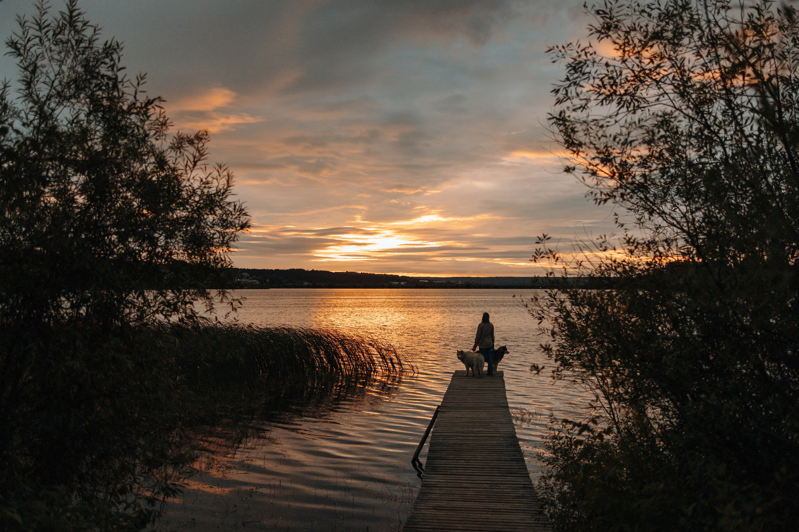 Дом у реки. Фотограф — Анималист | Санкт-Петербург