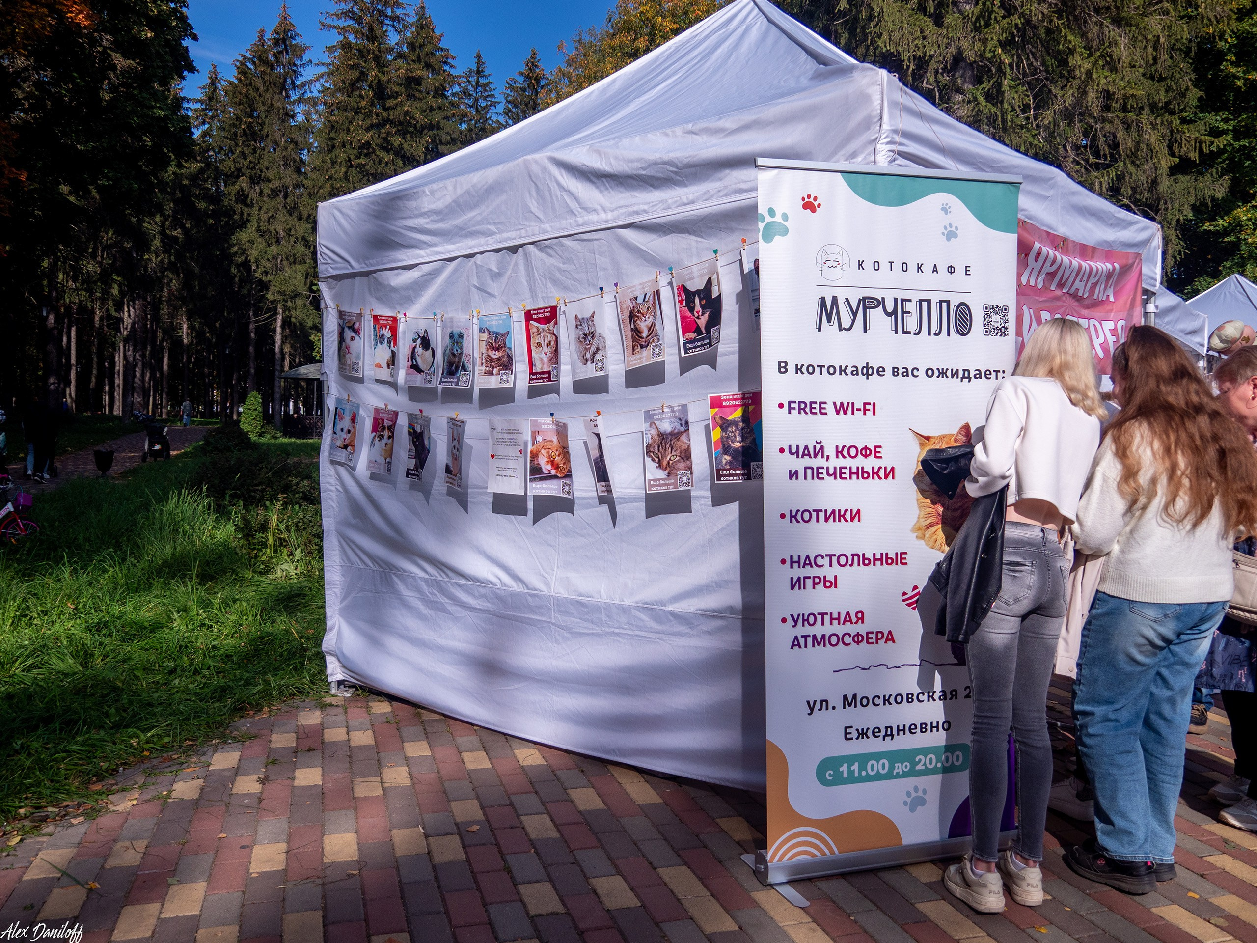 Обнимака 2025. Муром-Инфо. Новости культуры, образования, спорта в городе Муром