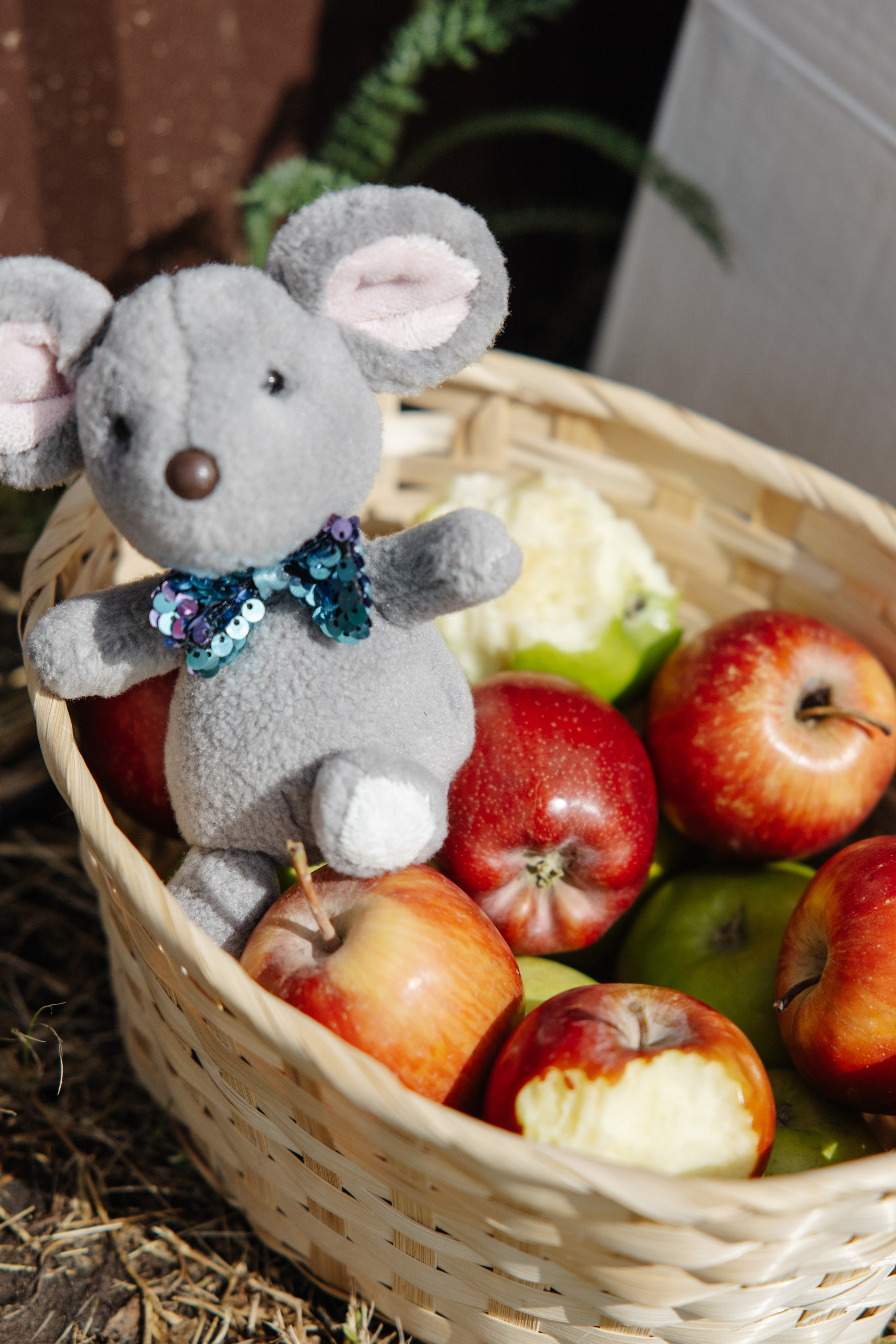 ГЕНДЕР ПАТИ. Фотограф в Красноярске