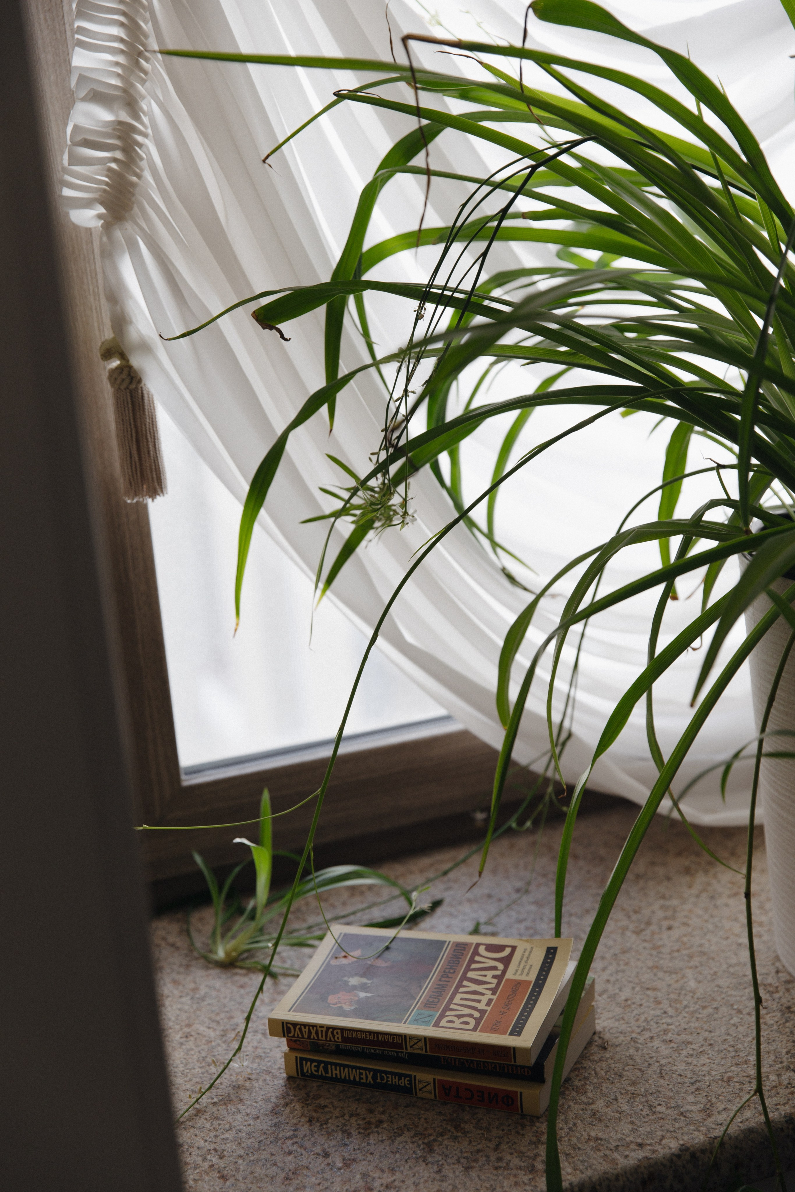 Свадебная съёмка в Самаре. Сергей и Кристина. Семейный и свадебный фотограф Viva Photo