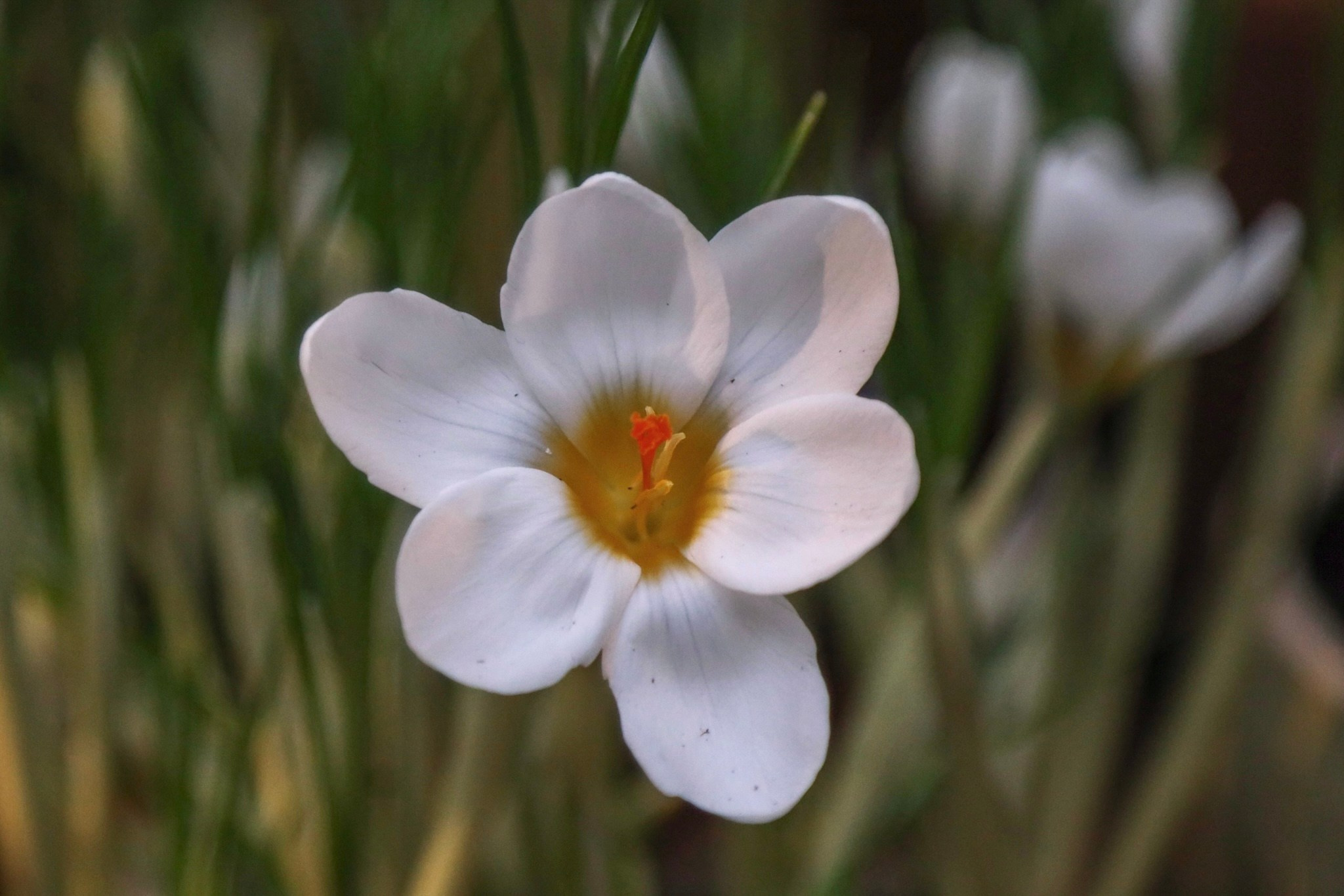 Фотографии с выставки Репетиция весны. Фотосессии и репортаж — Фотограф в Москве — Рина Серёгина