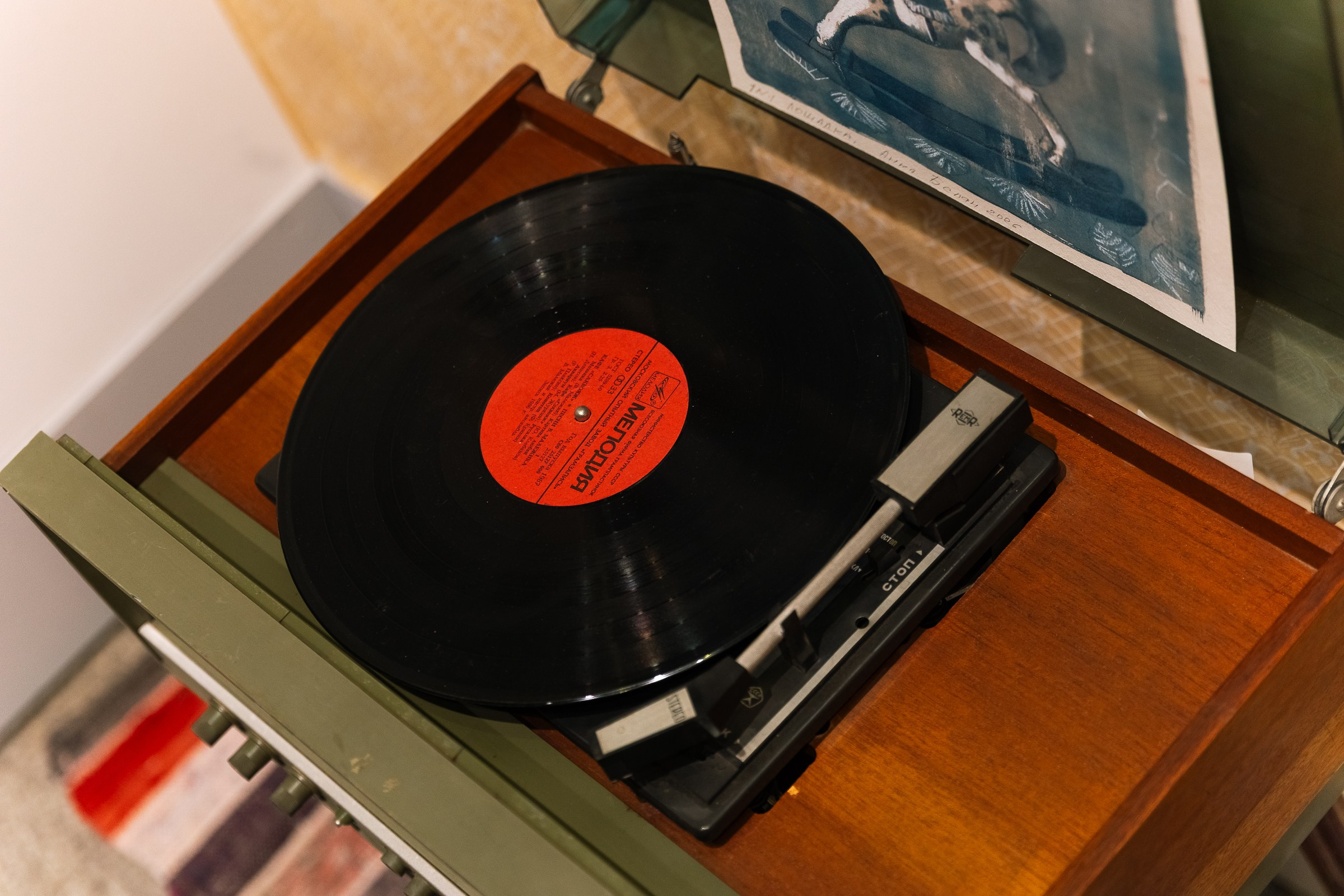 АРТ РОССИЯ 2026. Фотограф в Москве