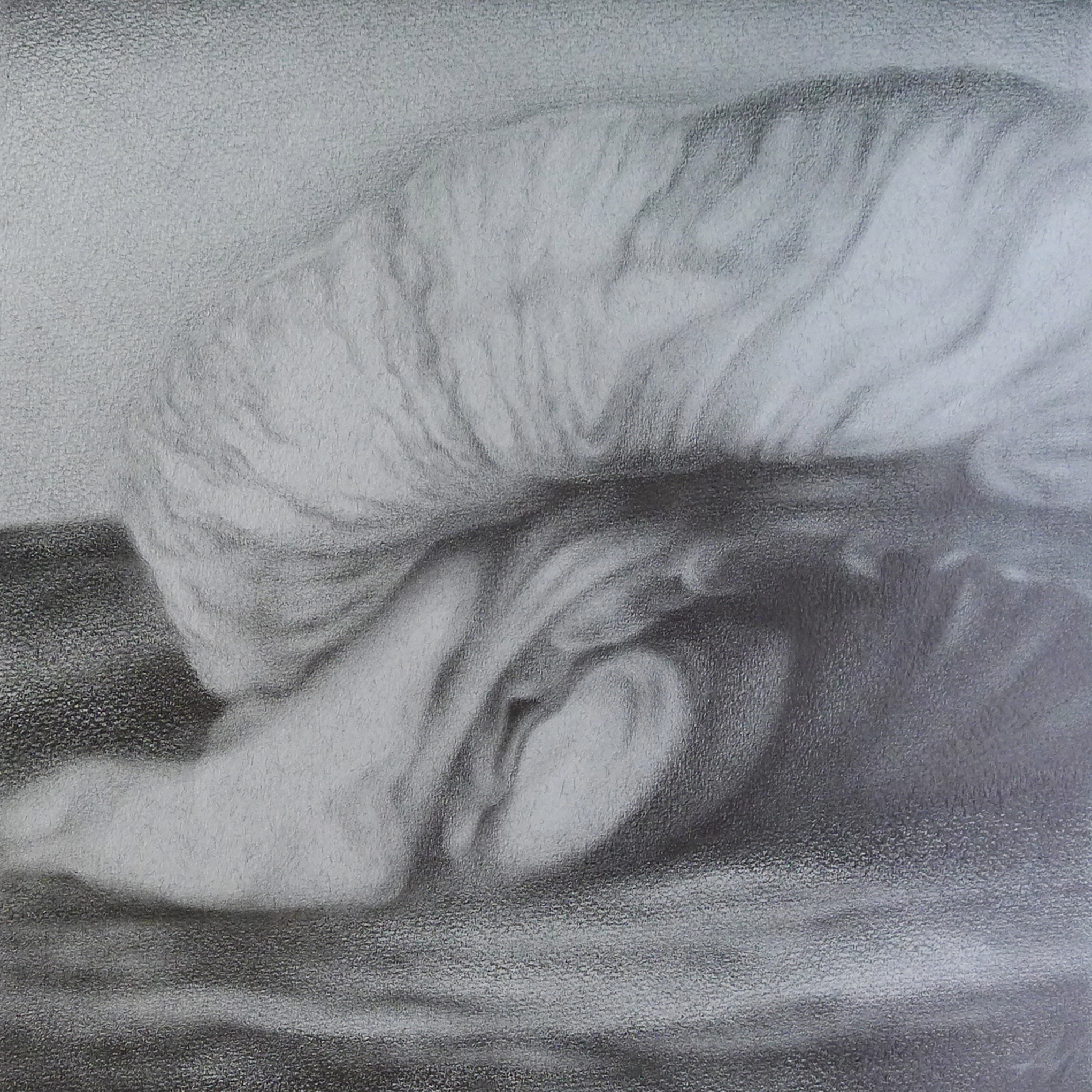 Художник Алексей Максимов. Столкновение, 2021, бумага, графитовый карандаш