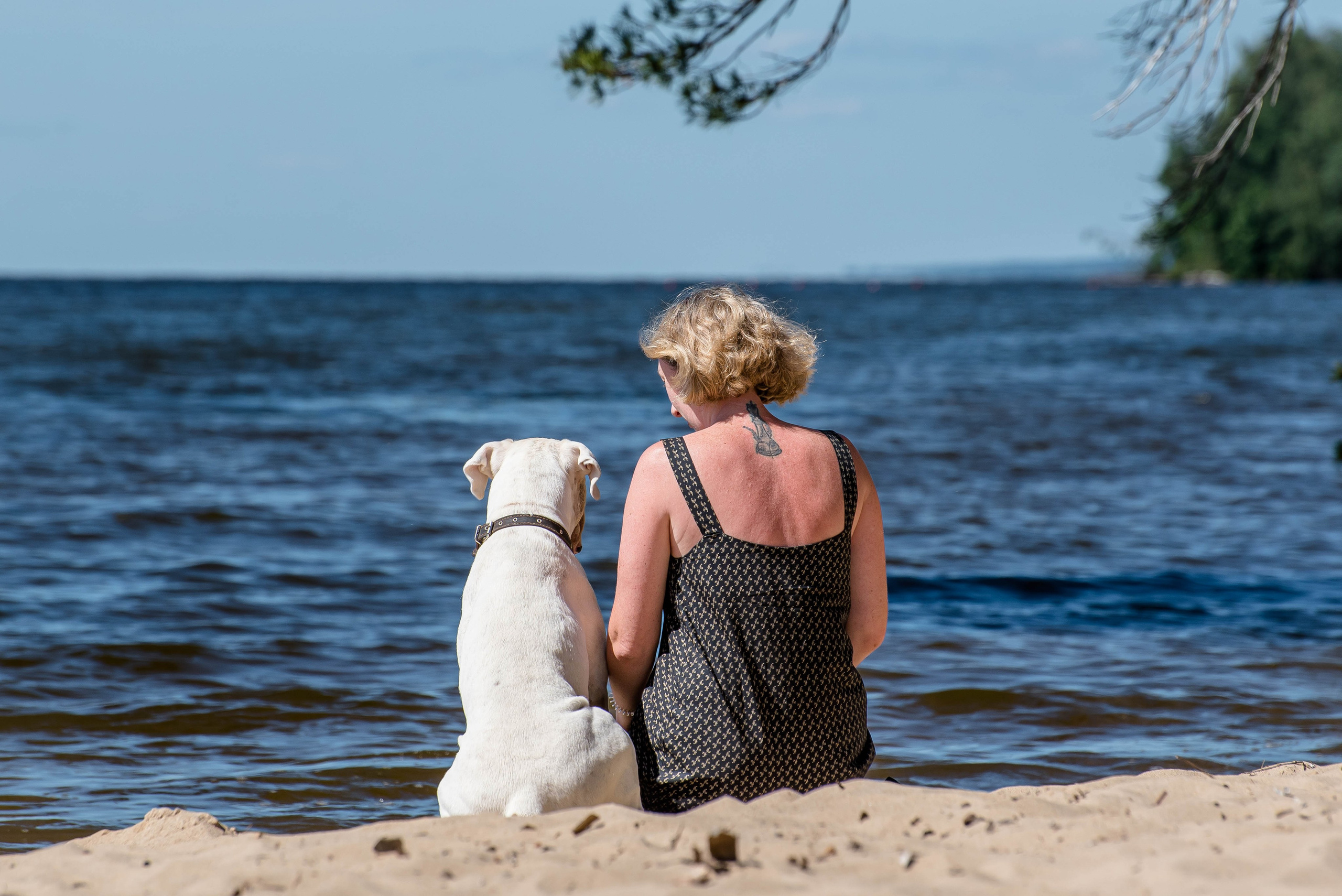 Фотосессия с собакой на берегу. Фотограф Макс Огурцов в Нижнем Новгороде