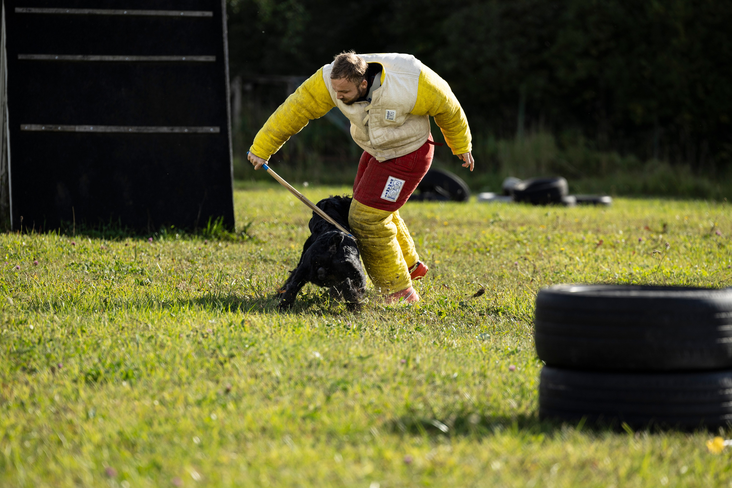 Испытания по Мондьорингу г. Пушкин. Фотограф-анималист Анна Маринич
