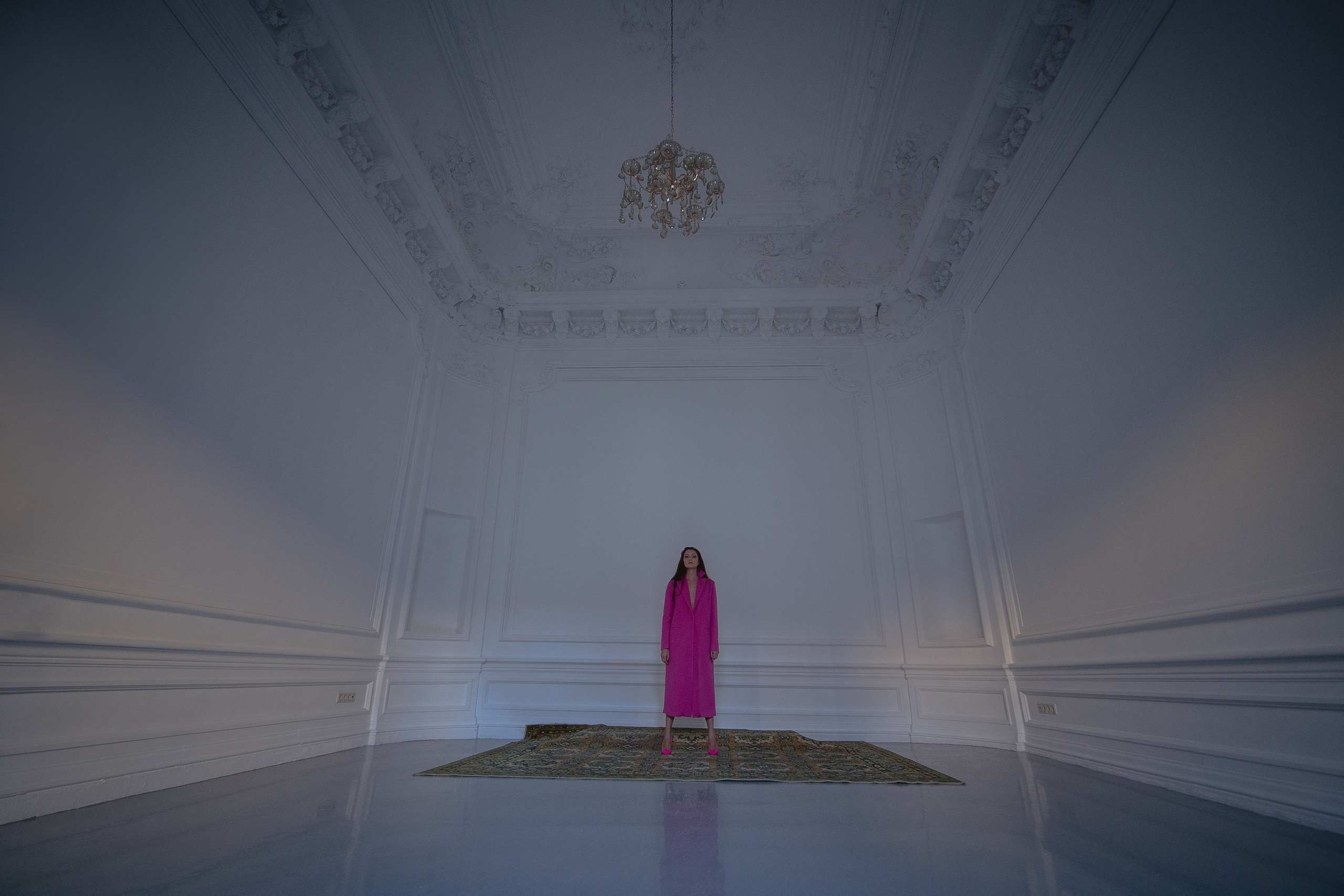 DIGITAL. Director of photography