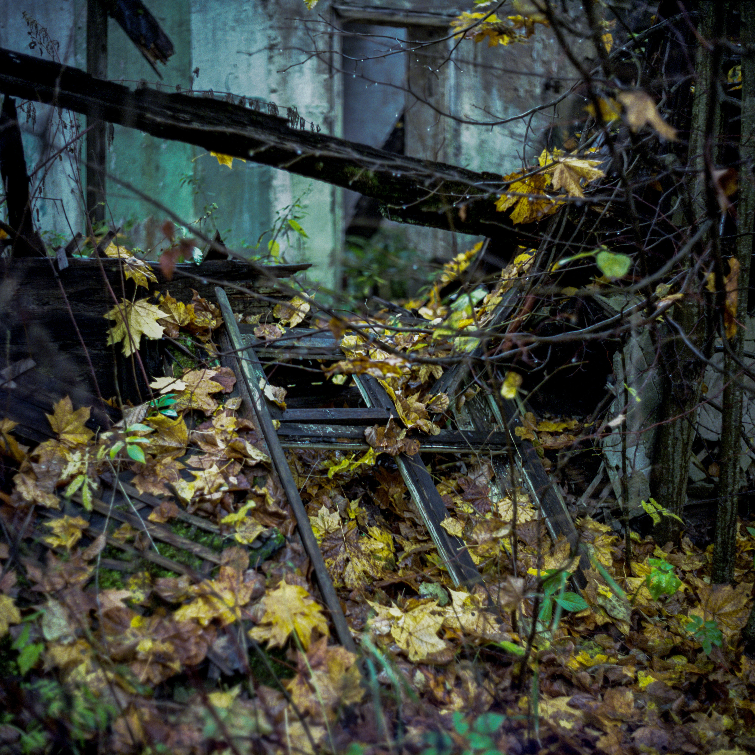 Проект «Сталкер». Никита Колеганов — фотограф