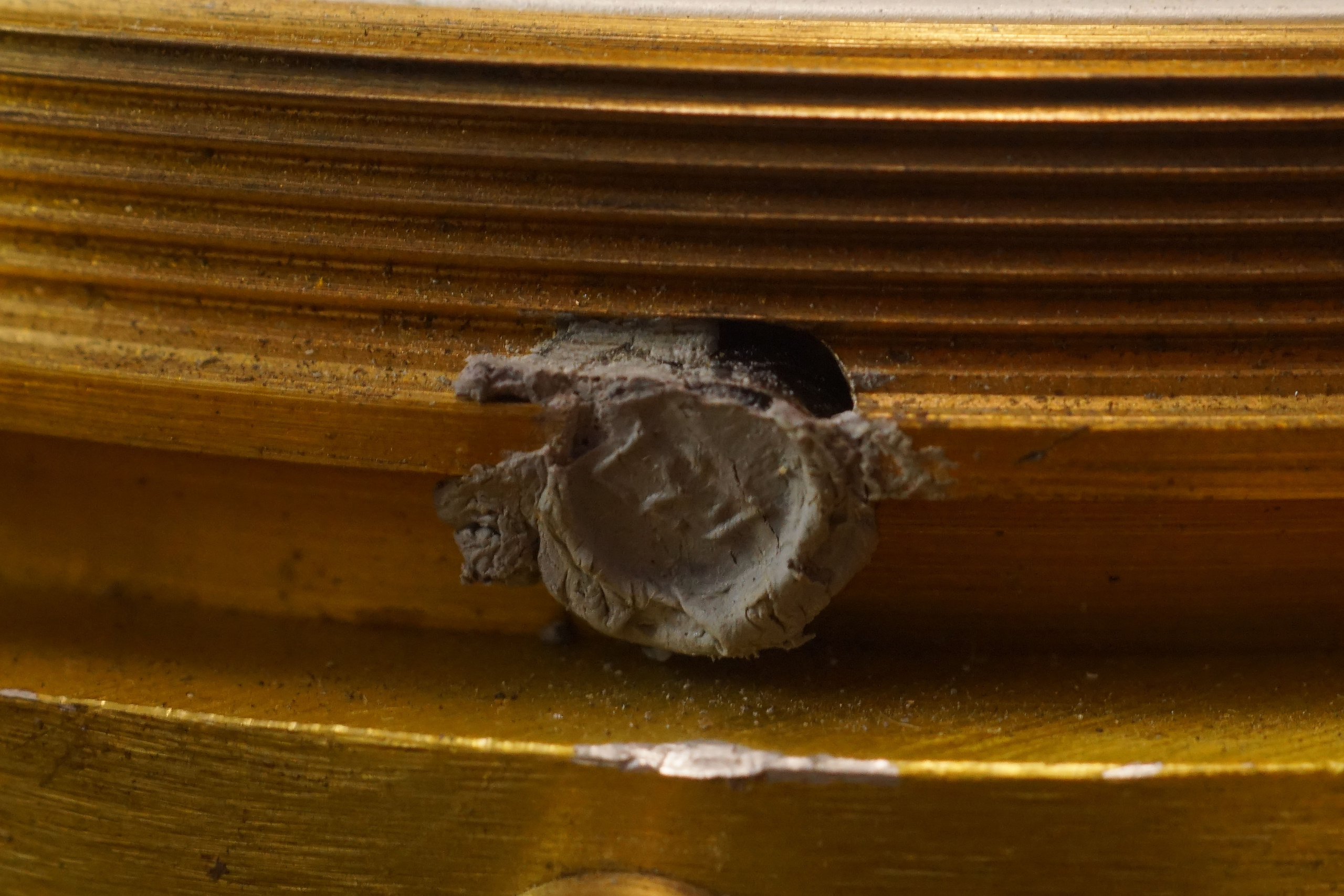 Авиационный хронометр. Никита Колеганов — фотограф