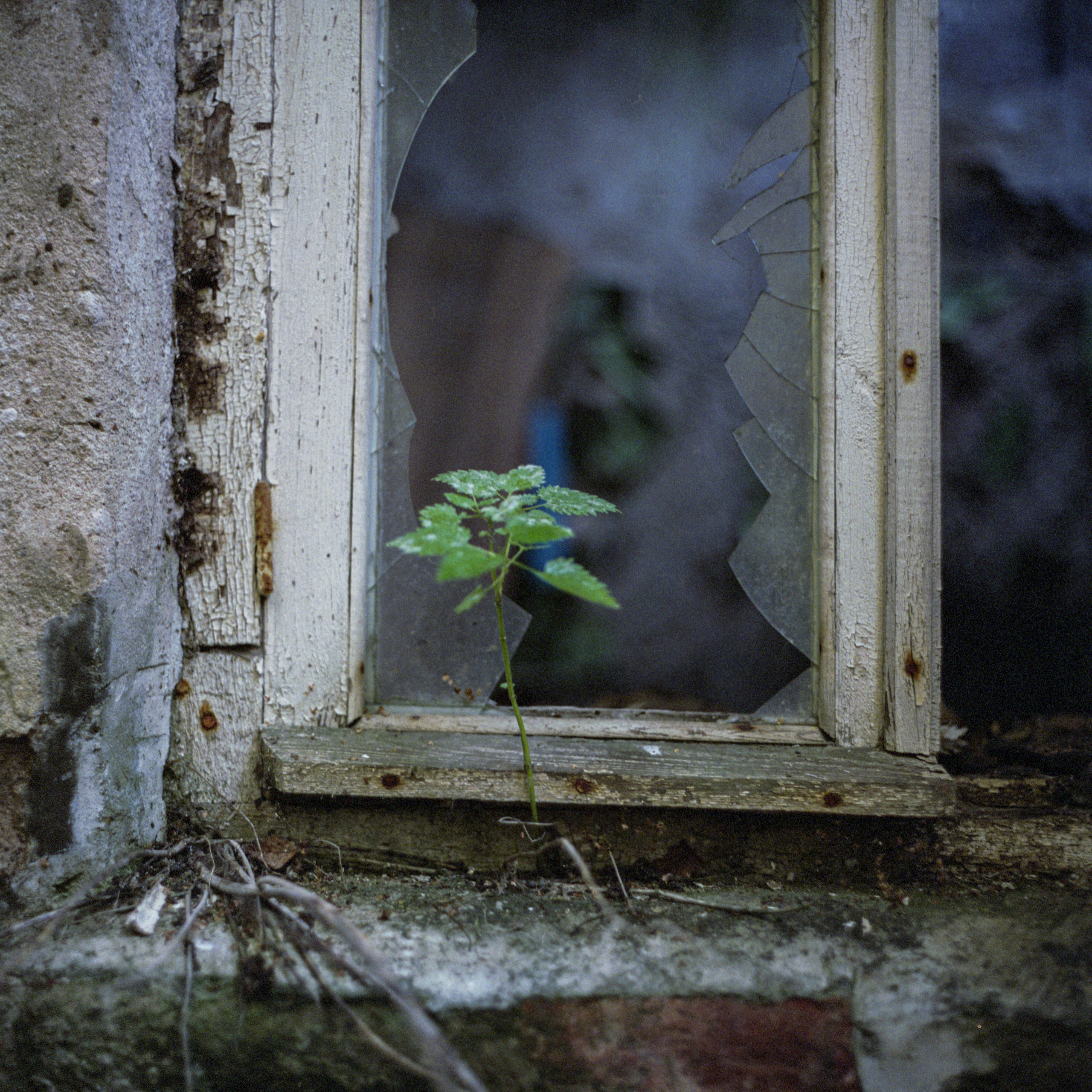 Проект «Сталкер». Никита Колеганов — фотограф