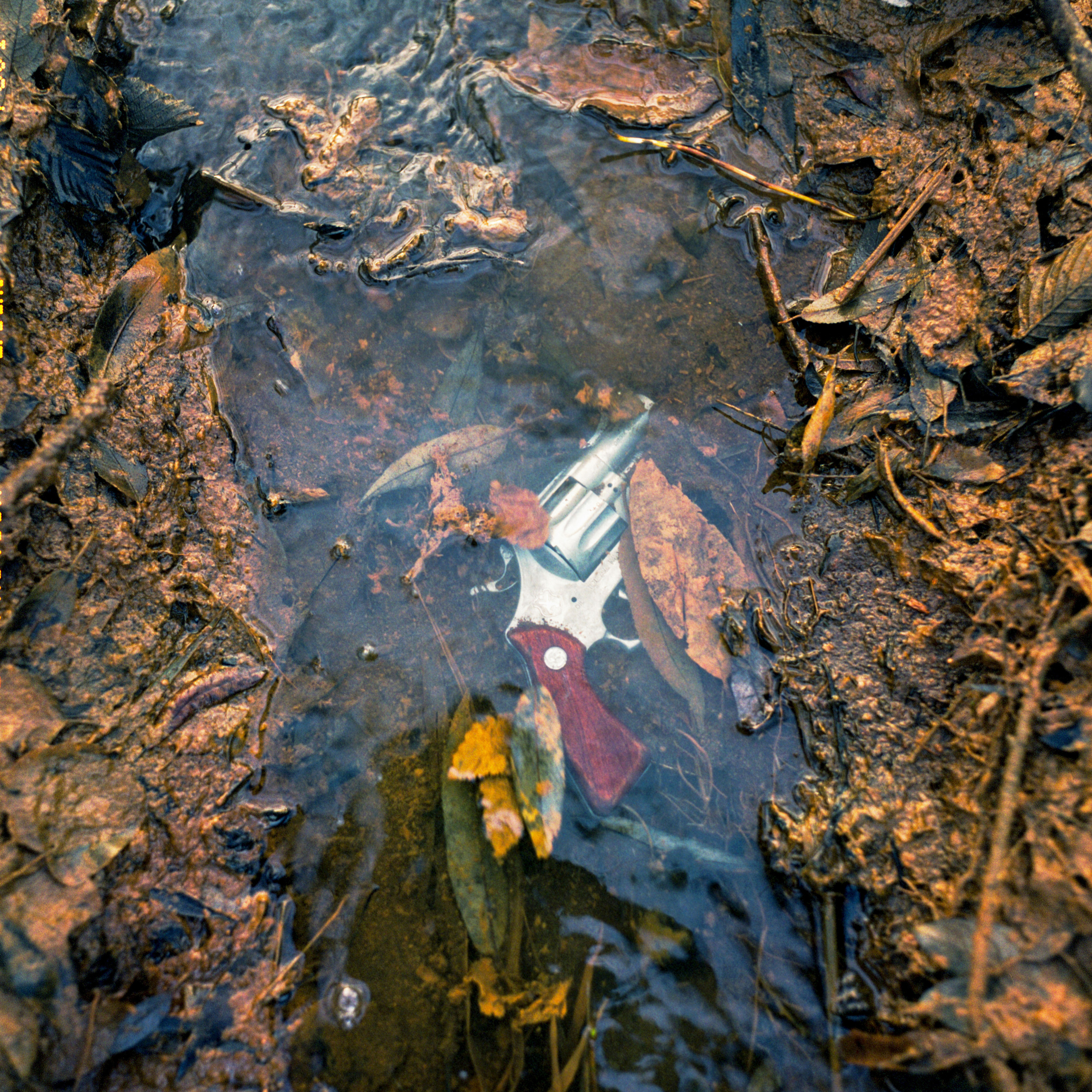 Проект «Сталкер». Никита Колеганов — фотограф