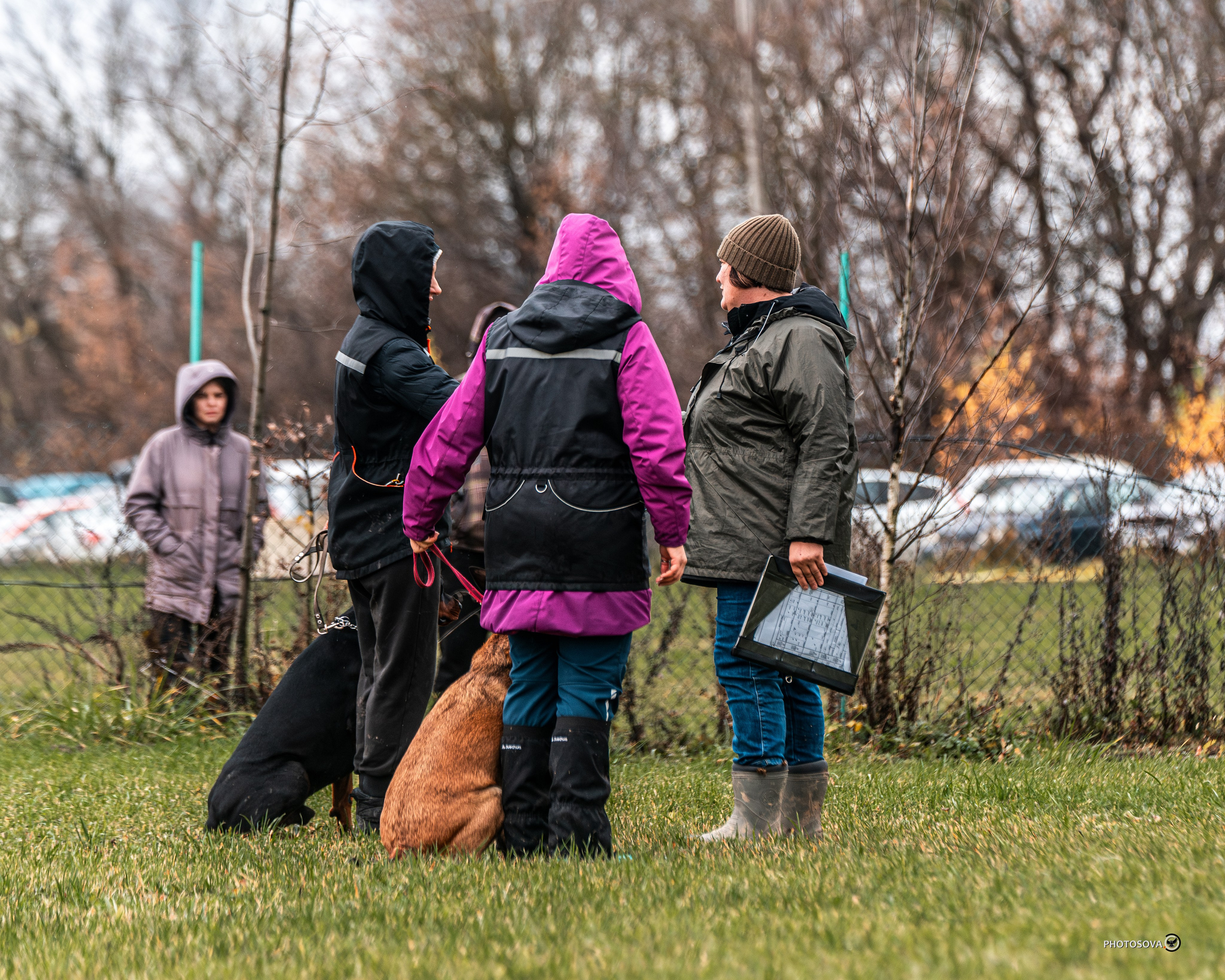 МЫ — КОМАНДА (соревнования) OKD, BH, IBGH, IGP. Фотограф-анималист, семейный фотограф в Москве и Подмосковье. Фотосъёмка кинологических дисциплин