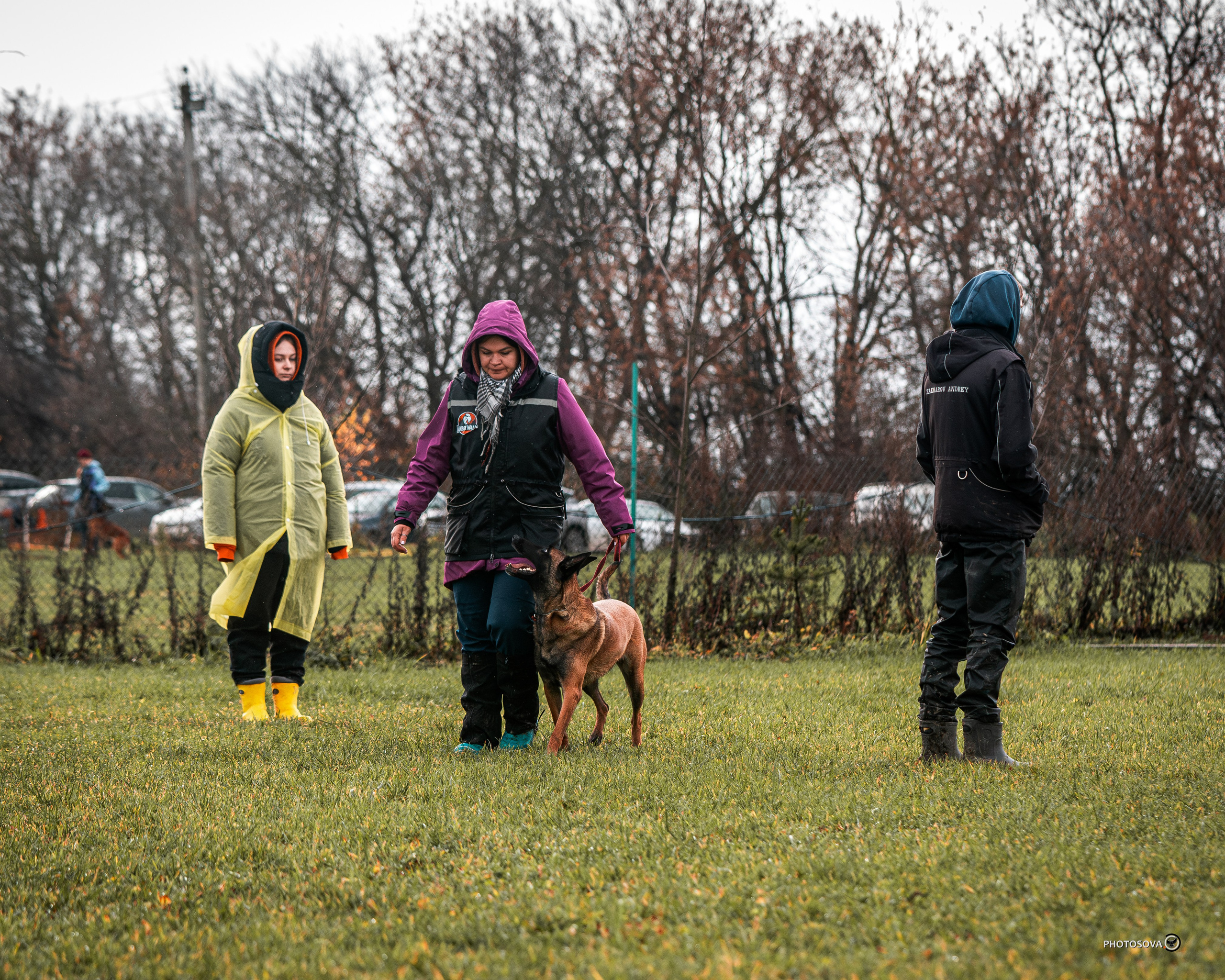 МЫ — КОМАНДА (соревнования) OKD, BH, IBGH, IGP. Фотограф-анималист, семейный фотограф в Москве и Подмосковье. Фотосъёмка кинологических дисциплин