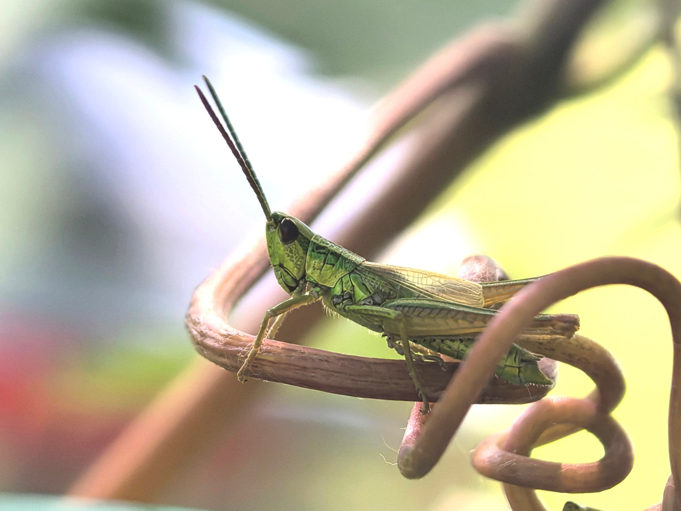 ПочтиМАКРО. Школьные выпускные альбомы в Москве Марина Николаева