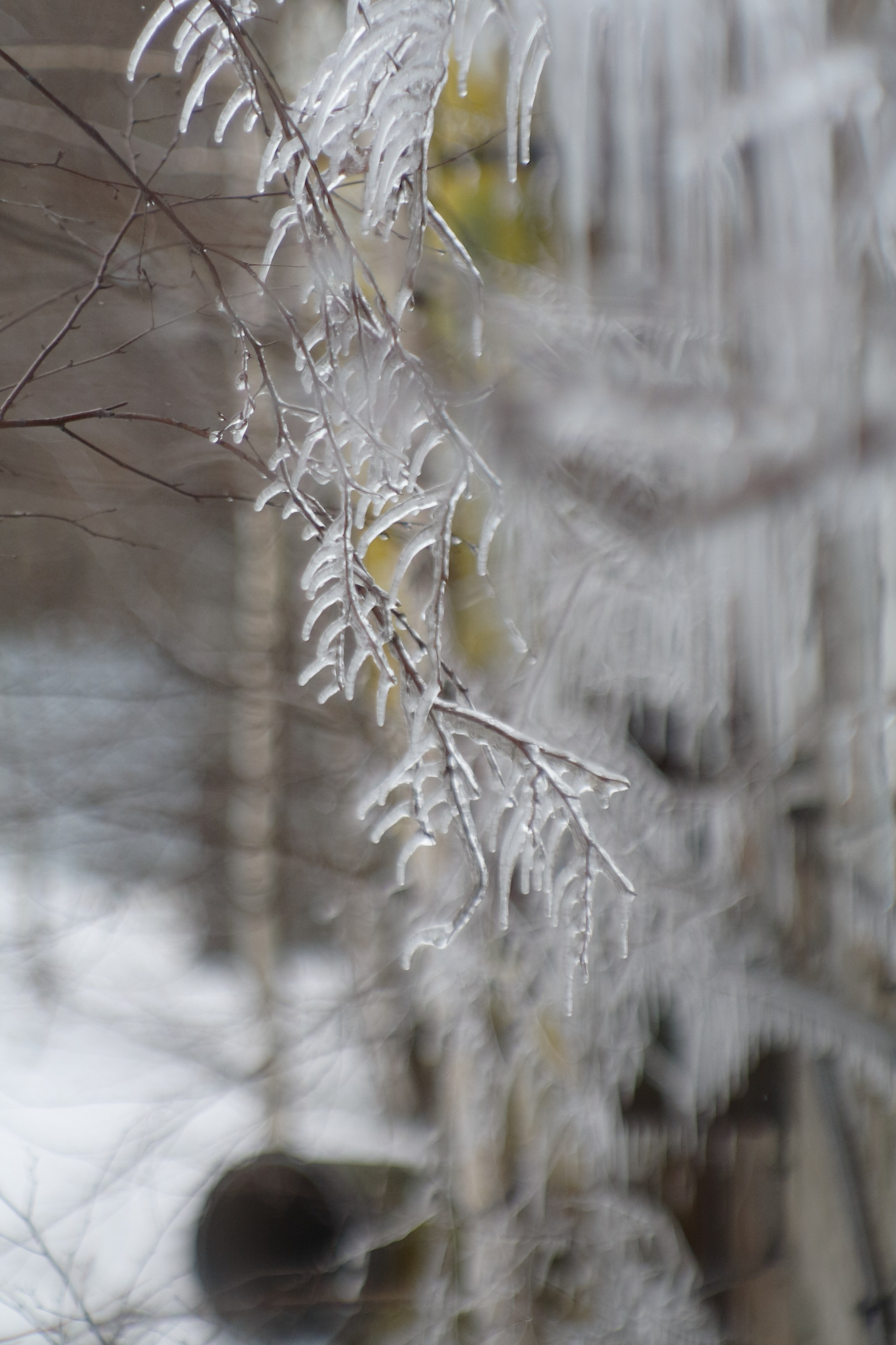 Старое природное, отбирала Katamount (Катерина Горохова). Главная