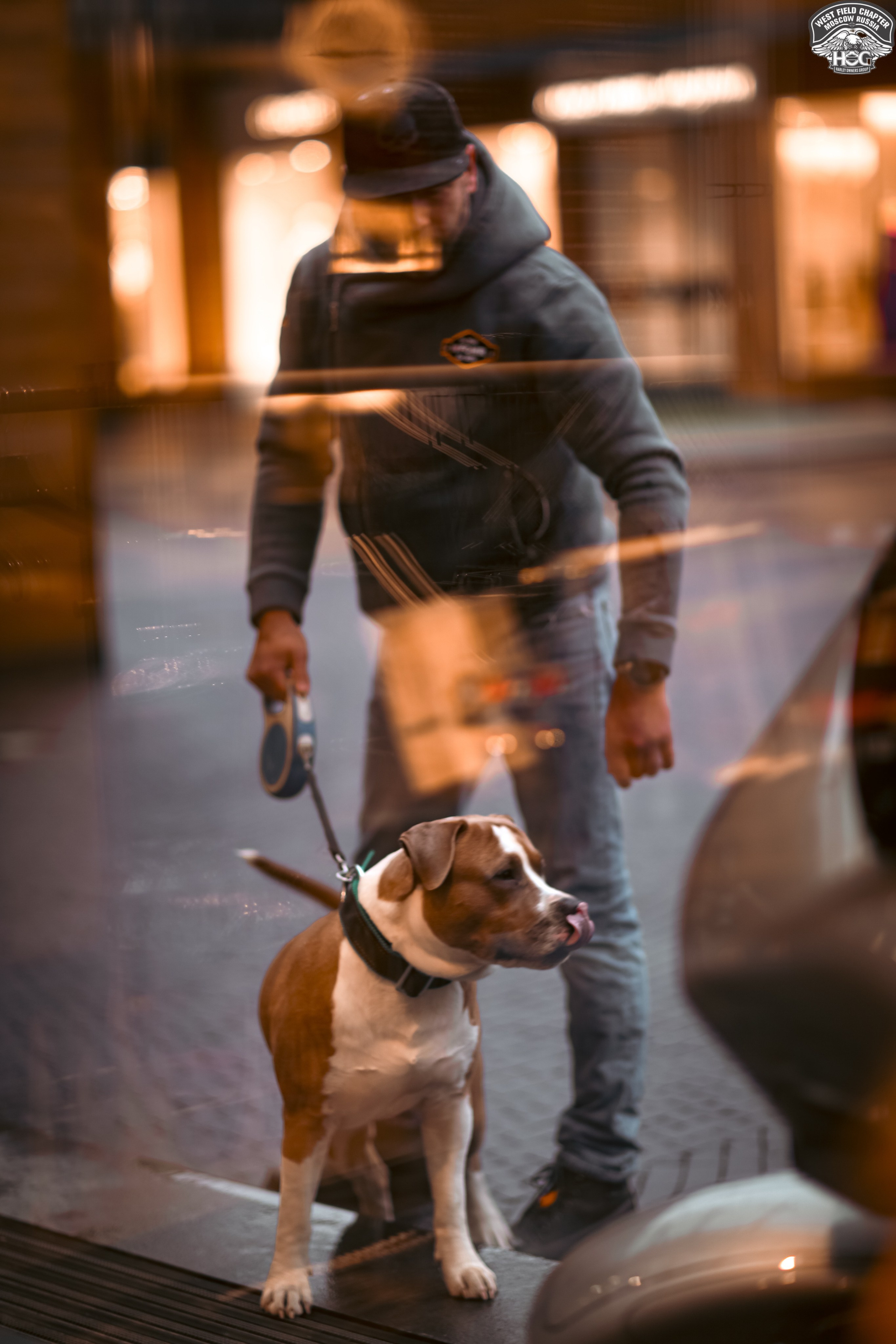 Репортаж, Корпоративы. Dobromilova.com