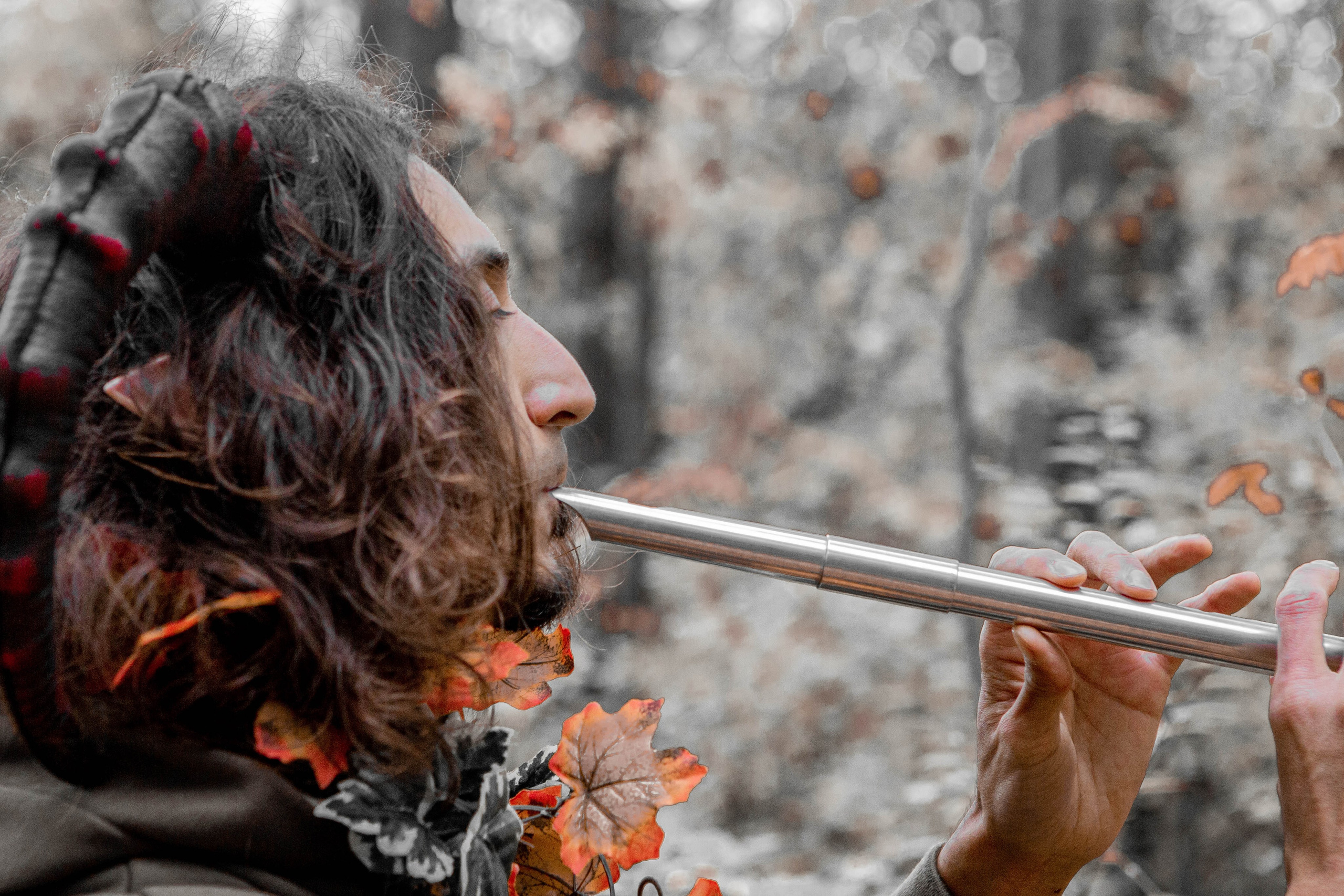 Волшебный лес. Фотограф Екатерина Голицына