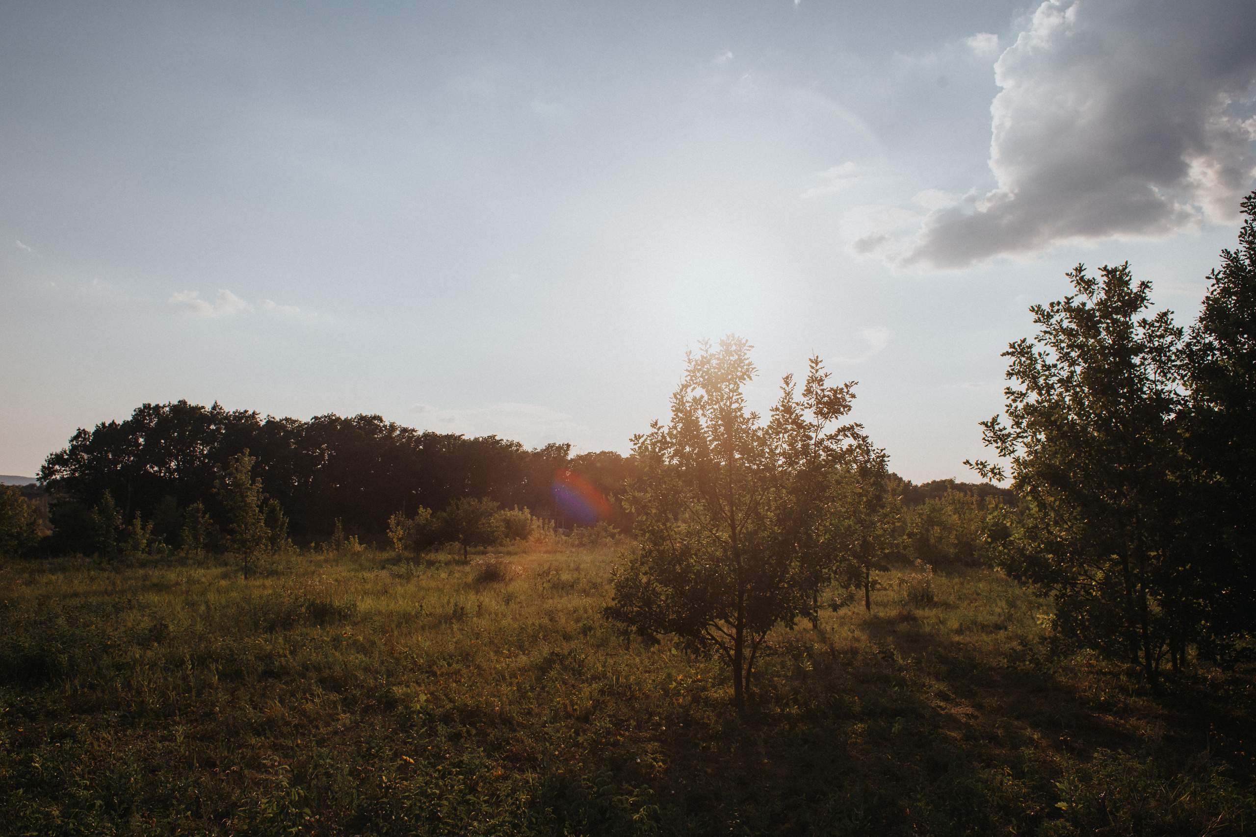 Семья Абрамкиных. Фотограф в Самаре / Олеся Широнина