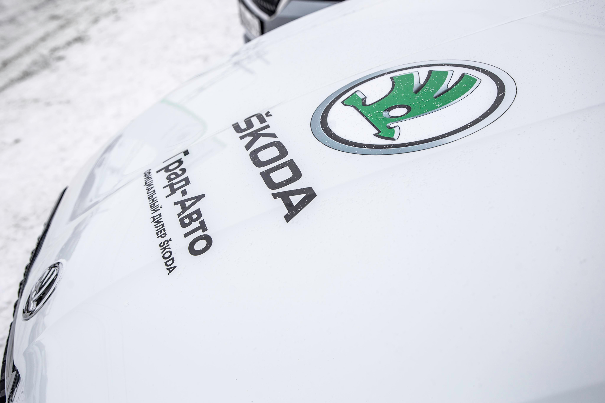 Skoda Octavia. Фотограф в Самаре / Олеся Широнина