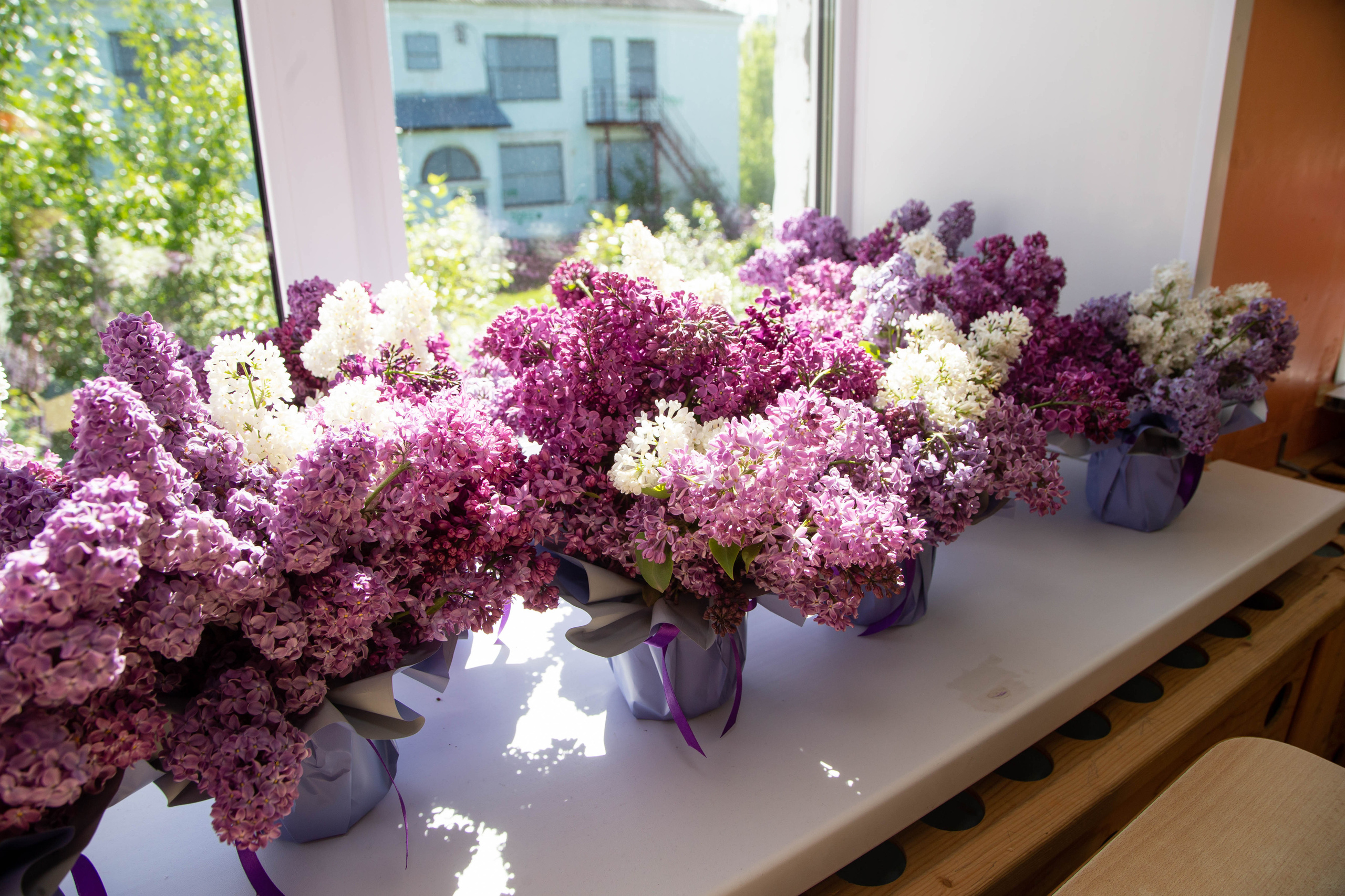 Рябинка Выпускной. Фотограф в Самаре / Олеся Широнина