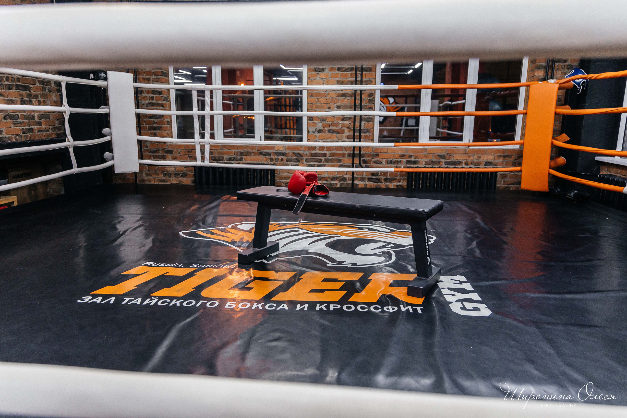 Бэкстейдж Ладно снято. Тайгер Джим. Фотограф в Самаре / Олеся Широнина