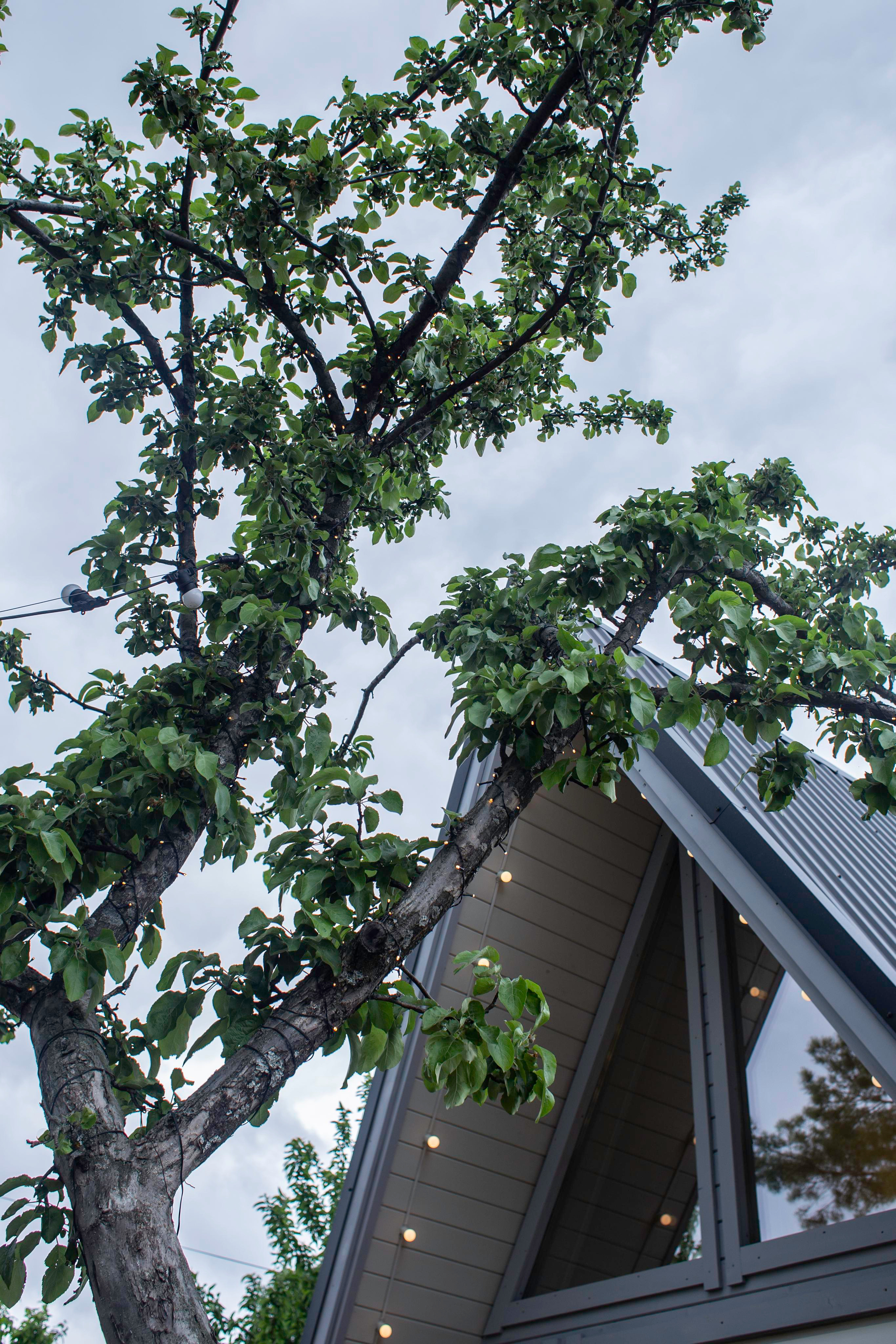 Интерьерка. Фотограф в Самаре / Олеся Широнина