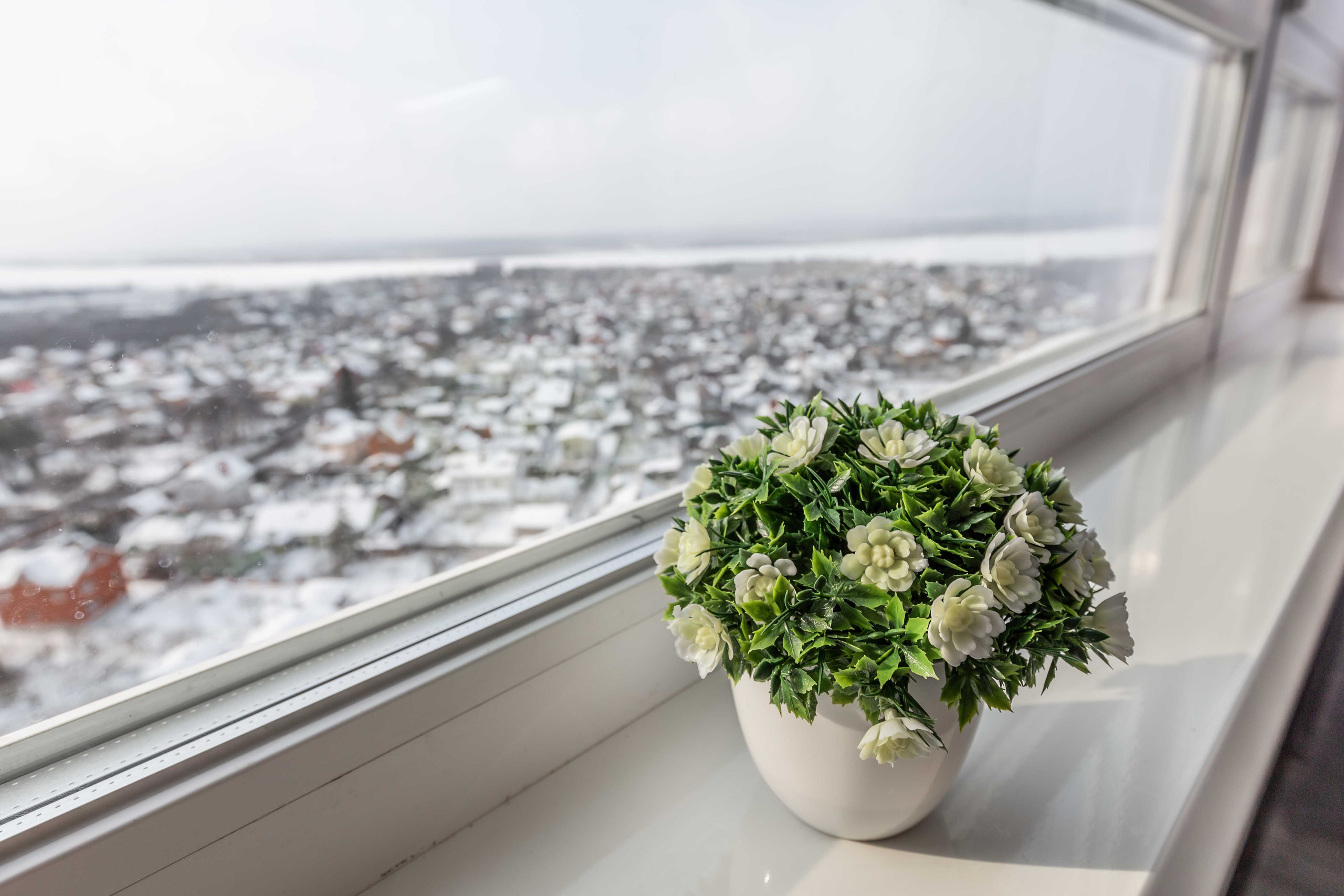 7 просека. Фотограф в Самаре / Олеся Широнина