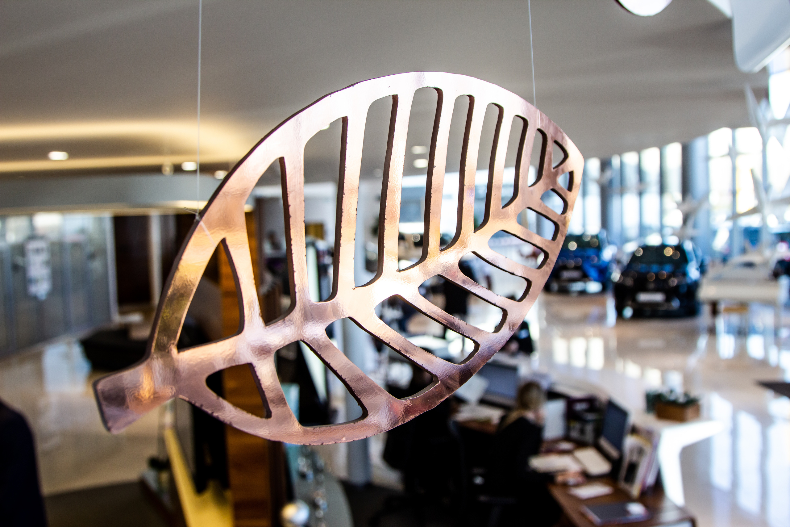 Lexus RX. Фотограф в Самаре / Олеся Широнина