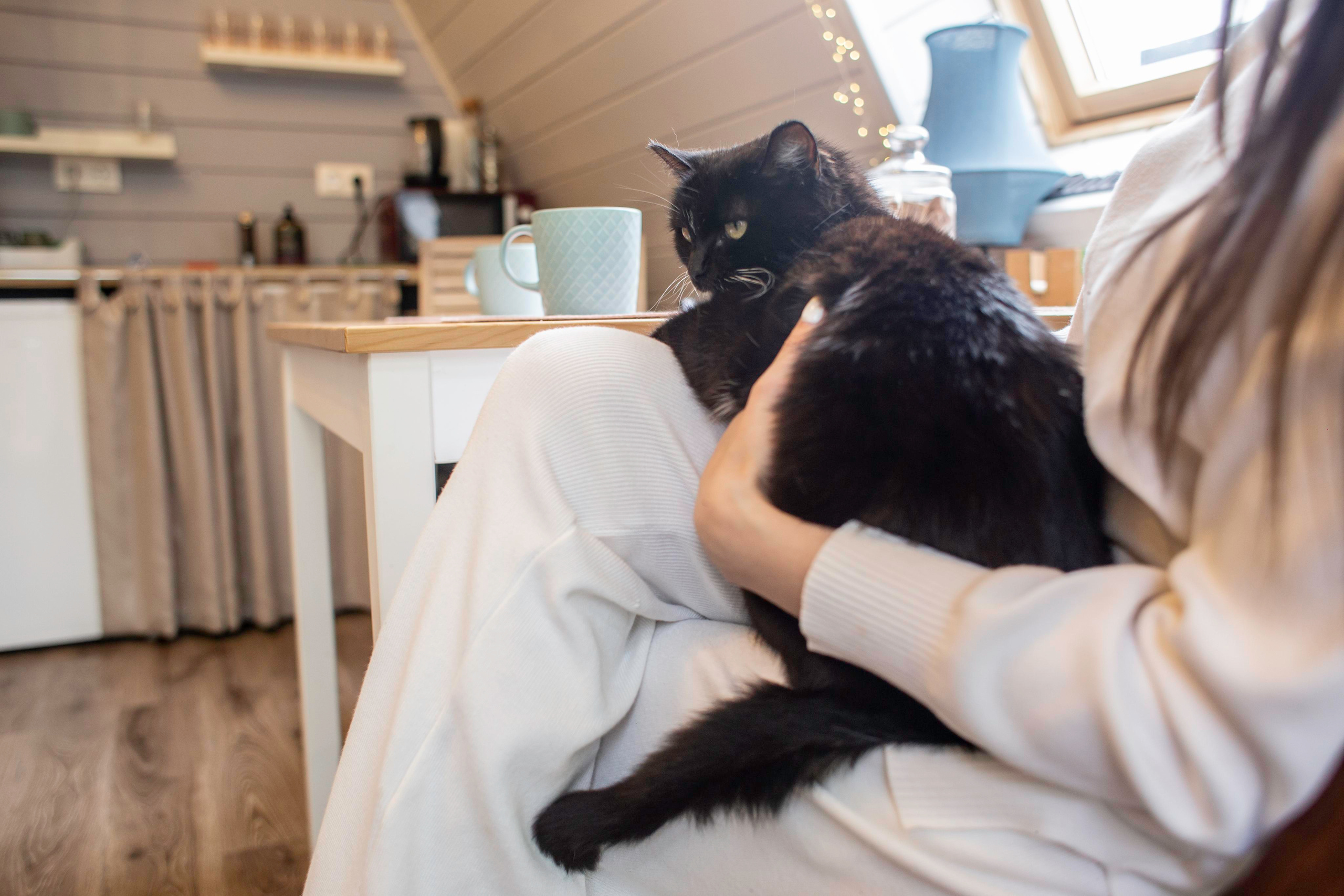 Интерьерка. Фотограф в Самаре / Олеся Широнина