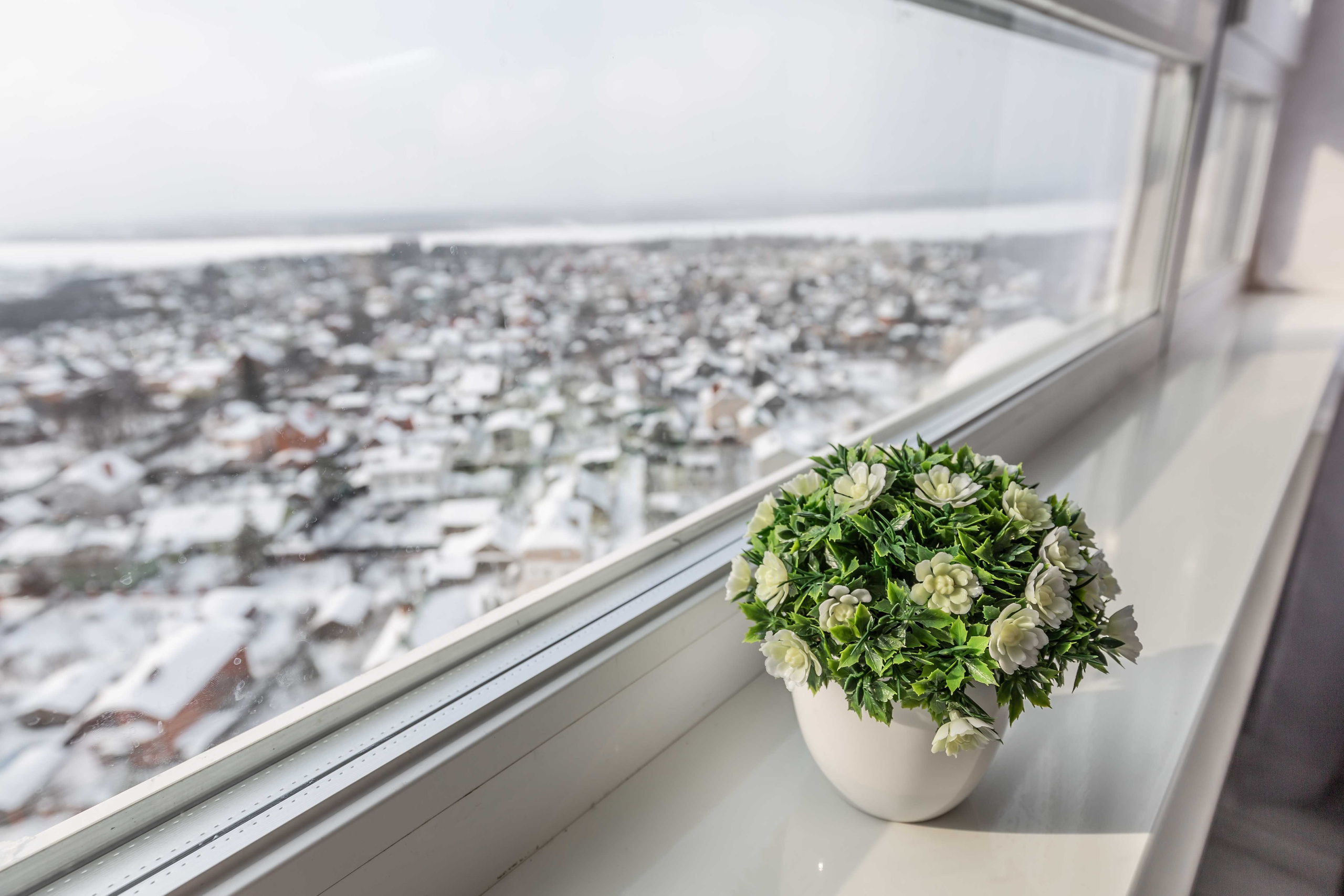 7 просека. Фотограф в Самаре / Олеся Широнина