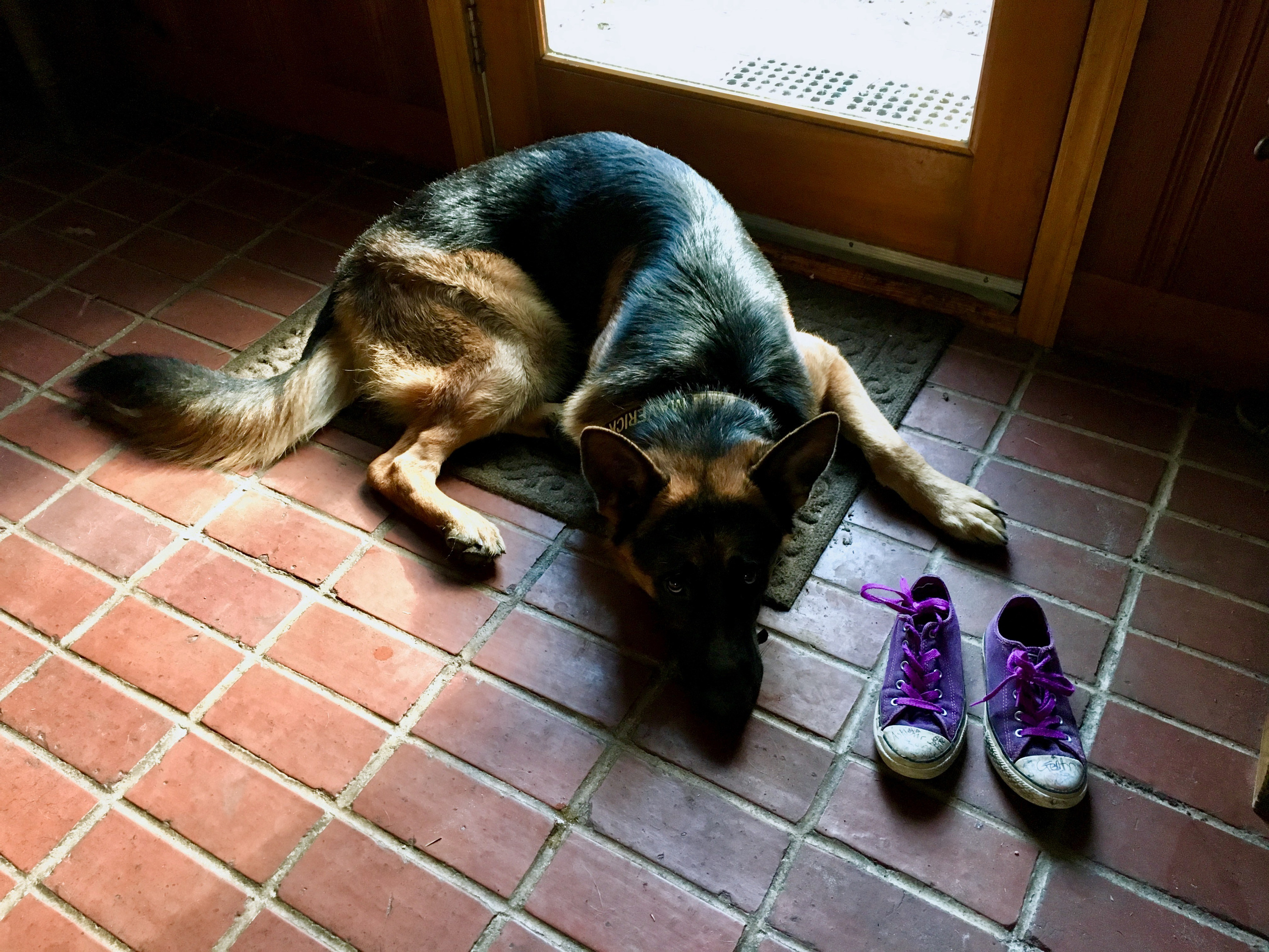 IPhone. Василий Буйлов|Vasilii Builov