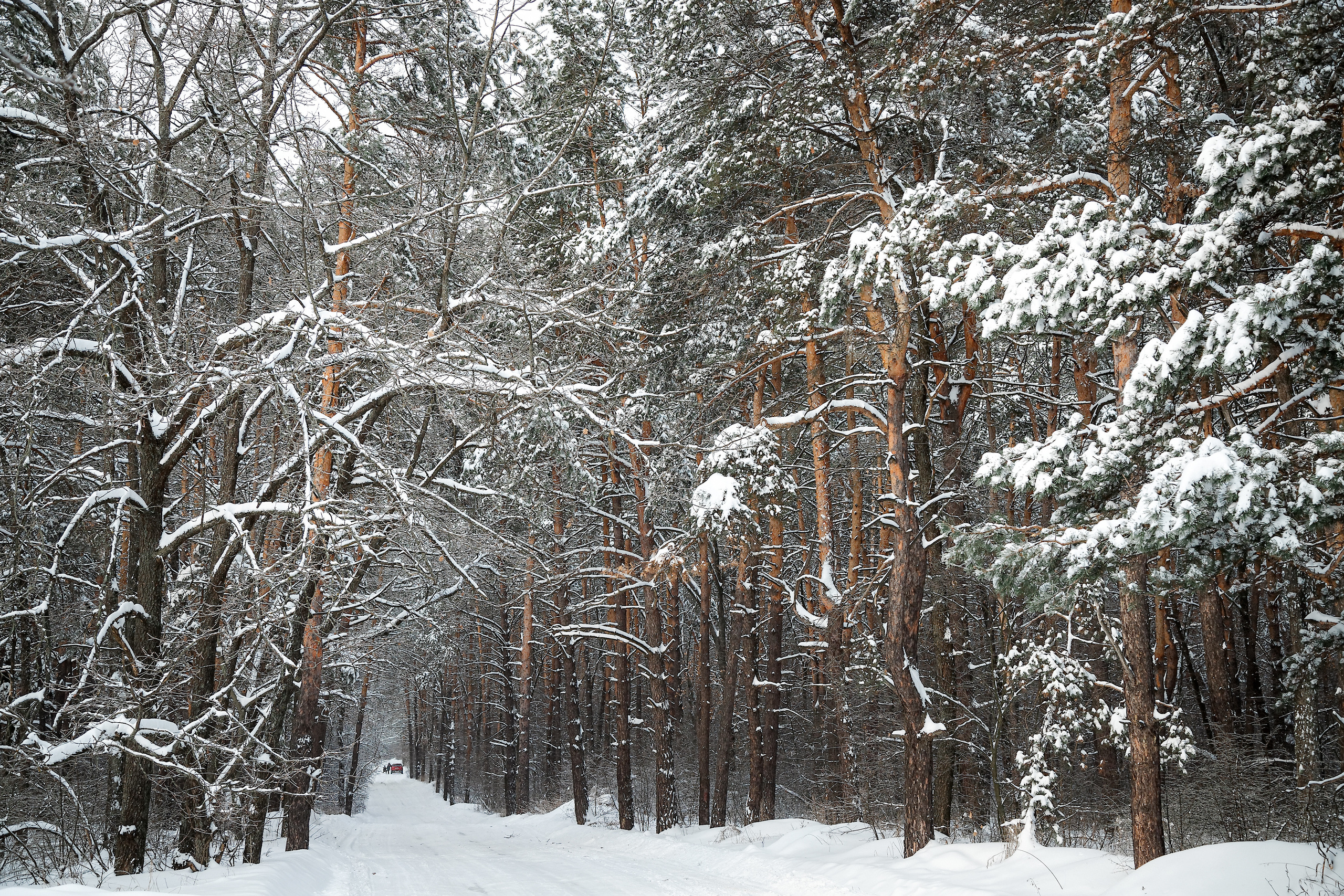 Павел и Екатерина. Семейный фотограф — Макс Белогрудов