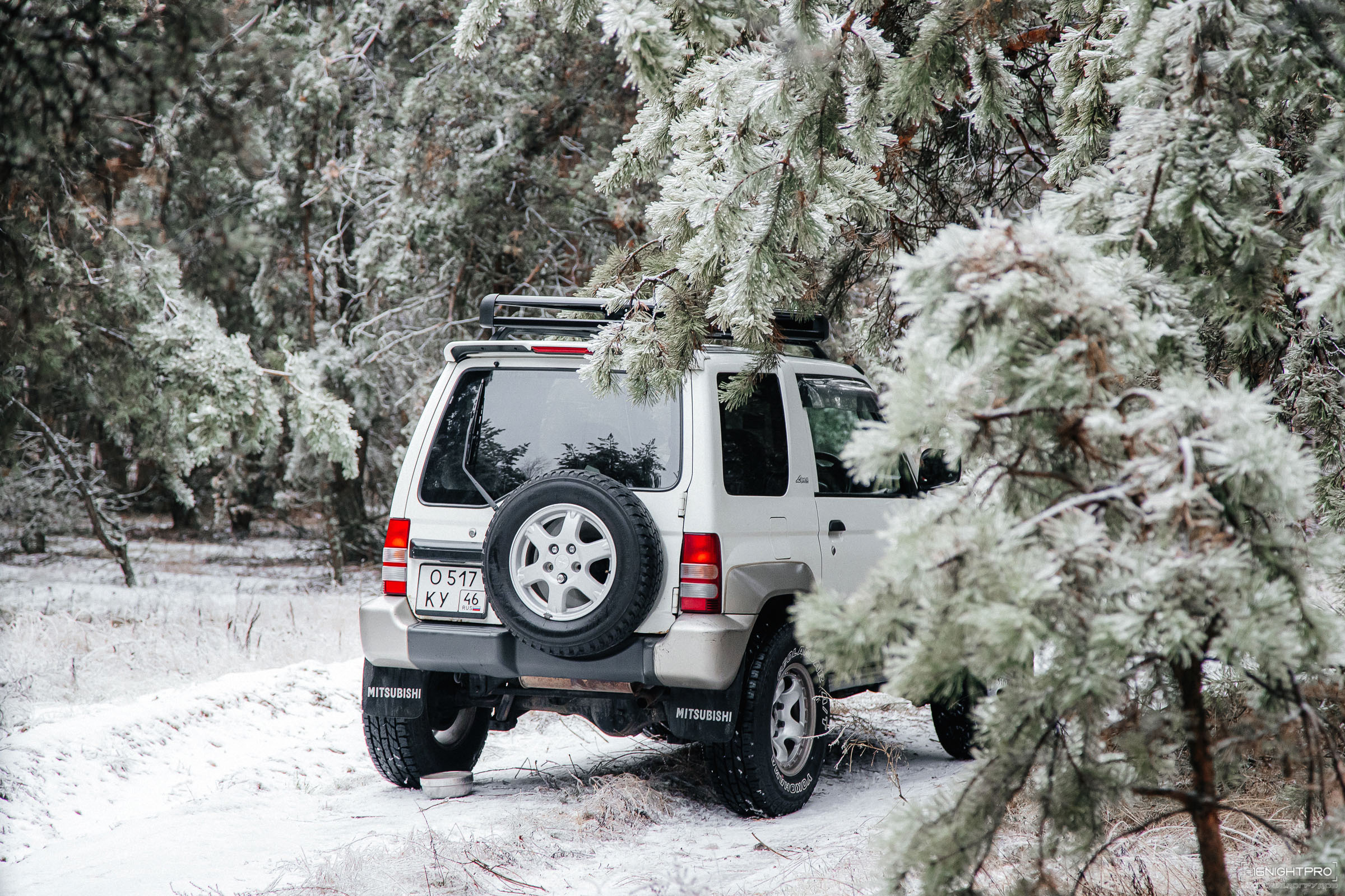 Катя и Честер. Семейный фотограф — Макс Белогрудов