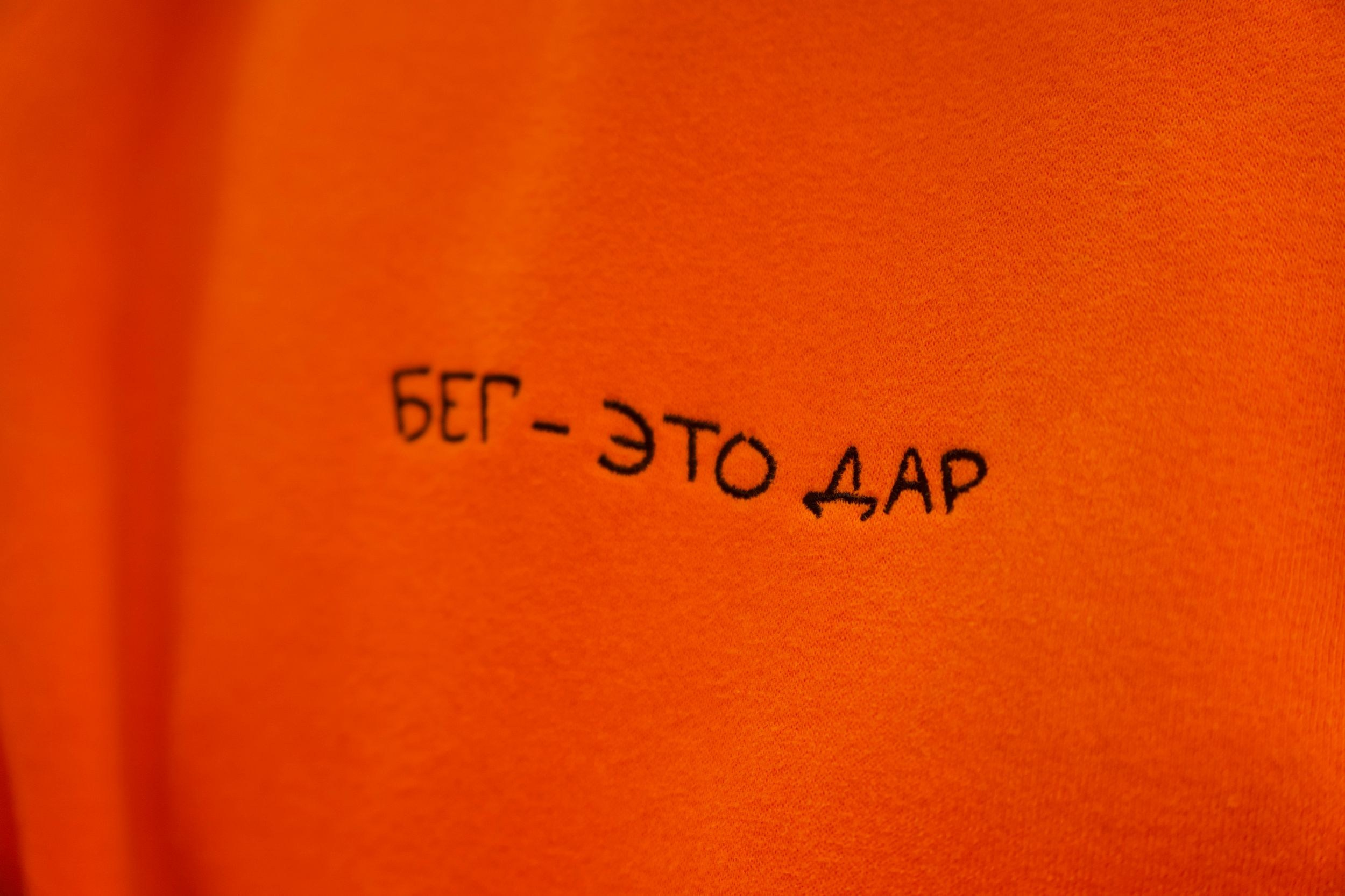 Забег в парке «Дубки». Кафе «БЕЛКА НАШЕПТАЛА». Ну оооочень концептуальное кафе