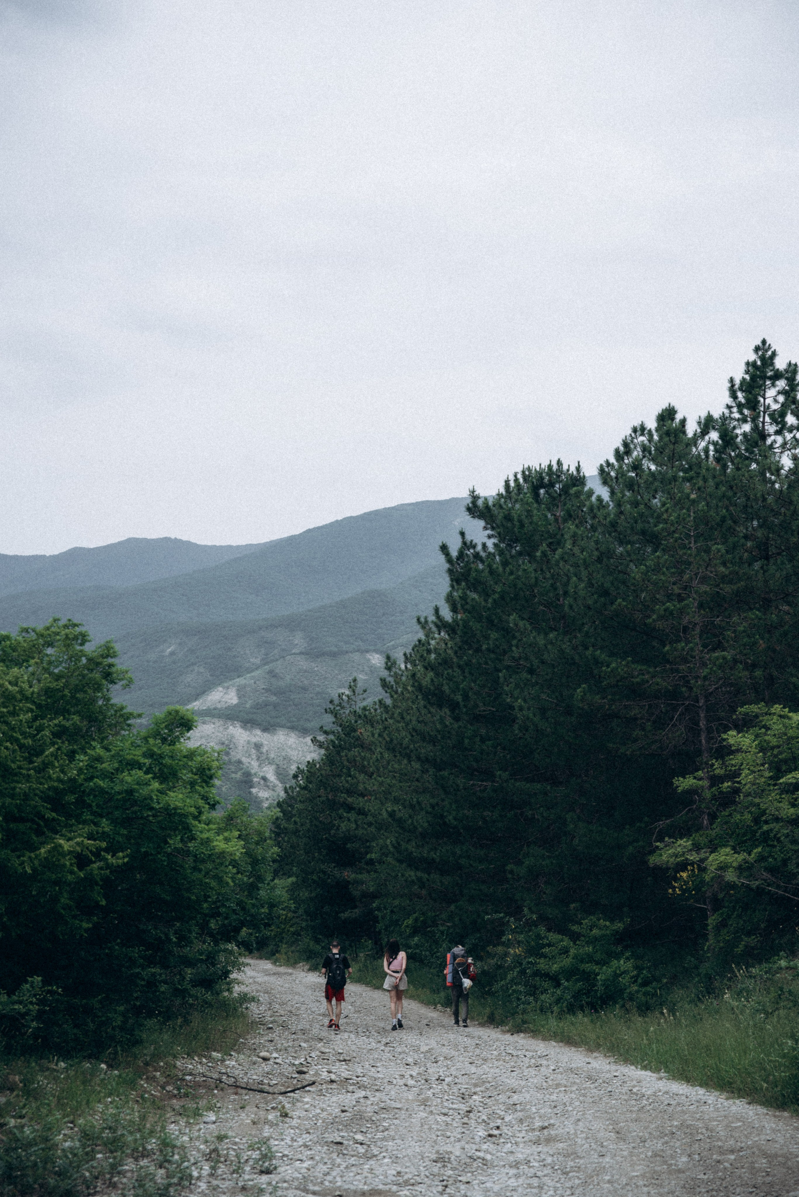 Медвежий приют, Мамкода, Грузия 🇬🇪 «Honey Trip». Anita_photo