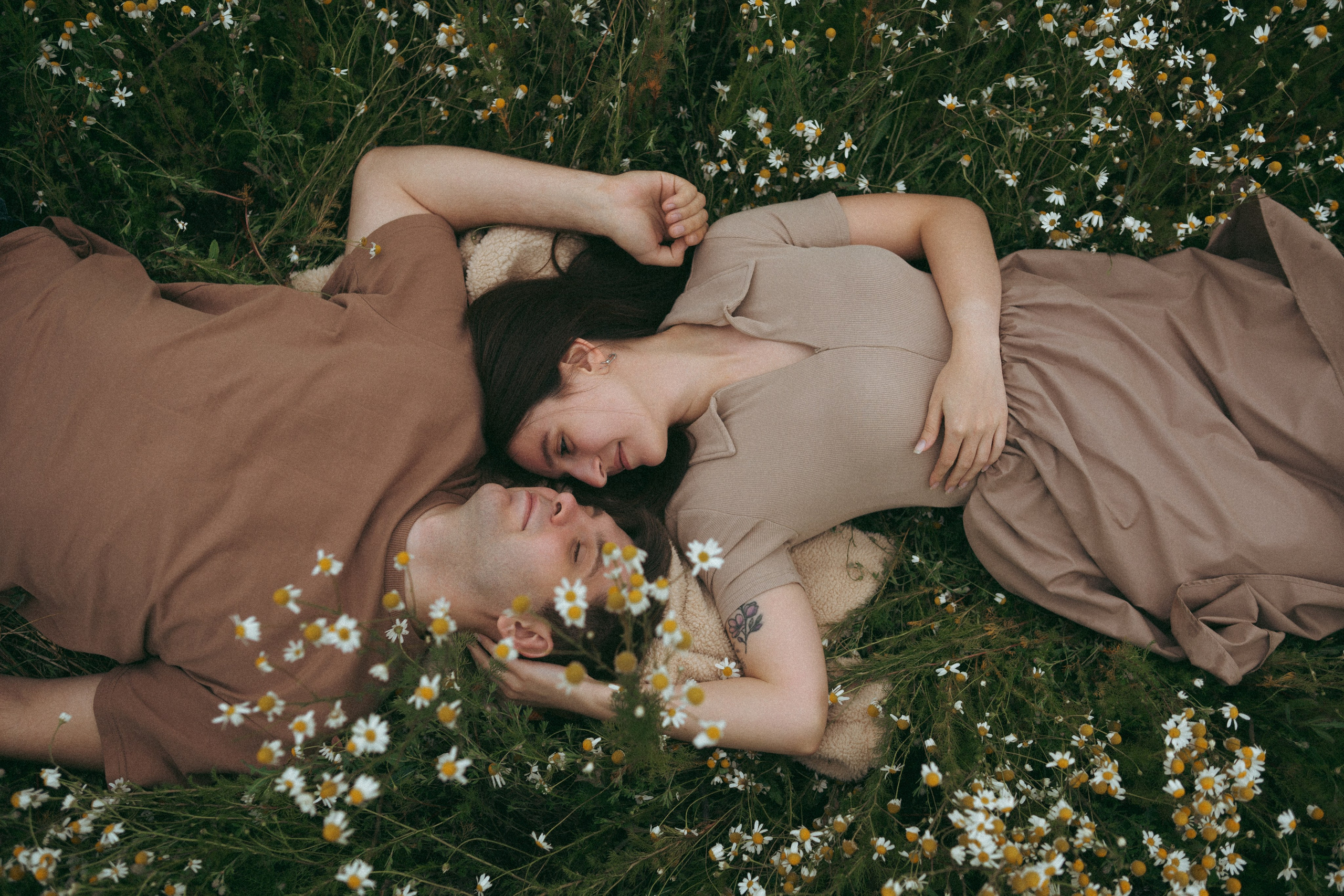 Ромашки. Фотограф Мария Зайчик