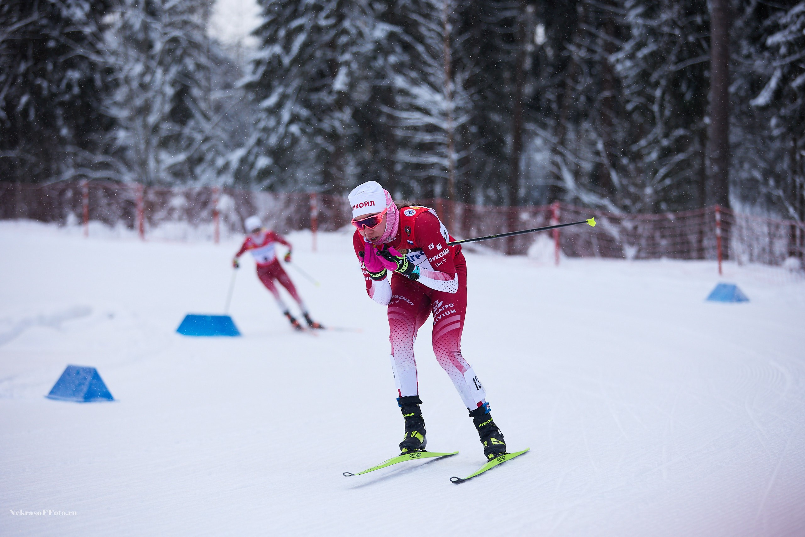 Кубок России по Лыжным гонкам. Спортивный фотограф Некрасов Денис