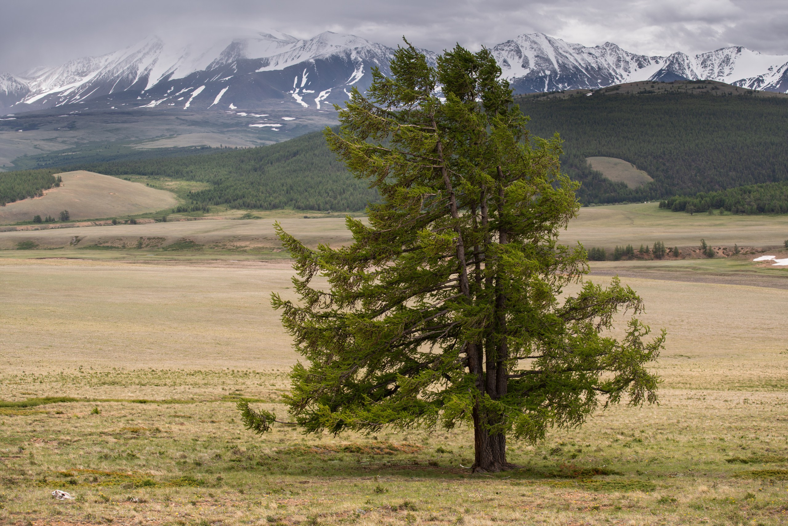 Тува. Фотограф в Красноярске Нерозя Александр. Пейзаж, природа, портрет
