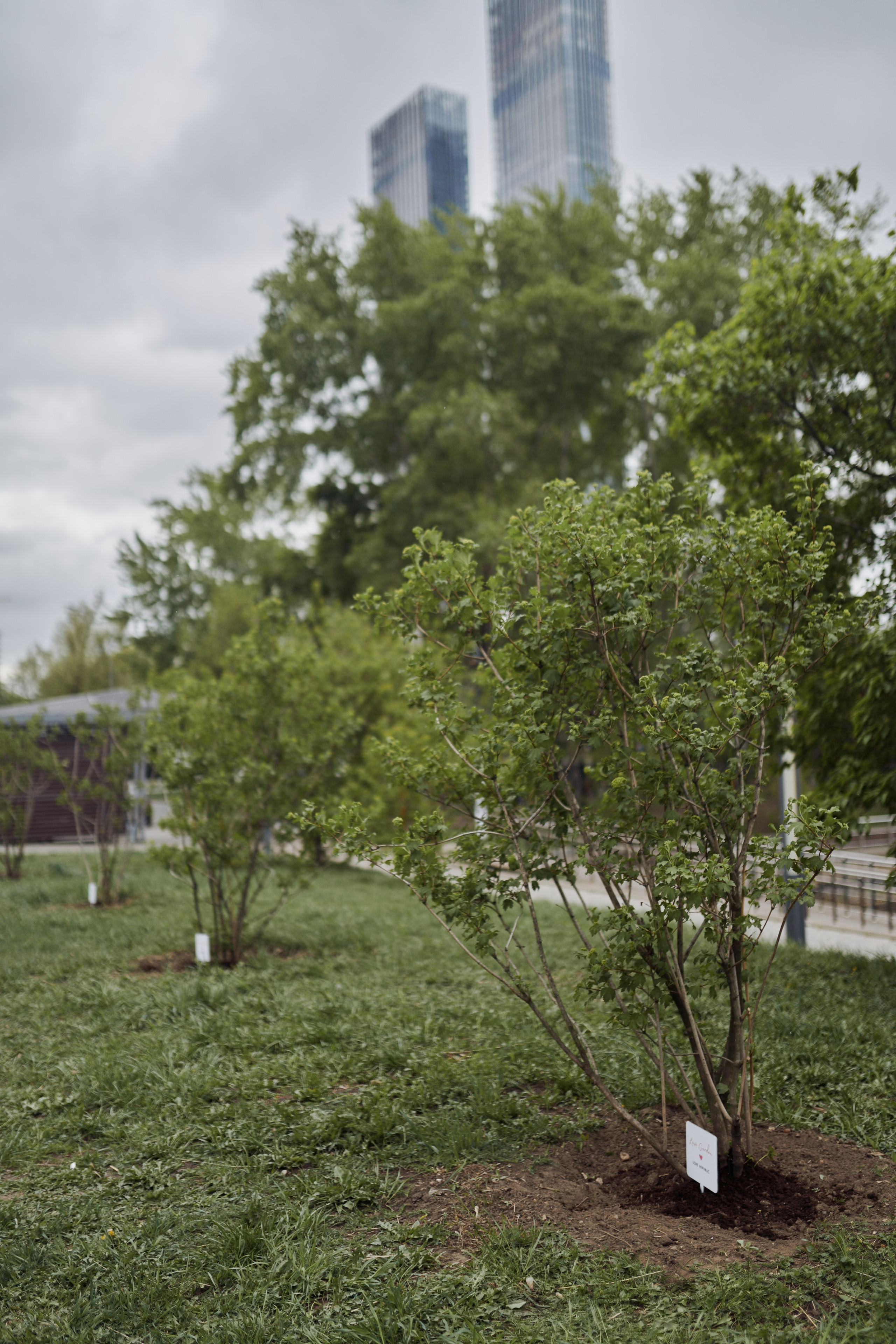 LOVE REPUBLIC — субботник. Евгений Бреча. Коммерческий и бэкстейдж фотограф в Москве