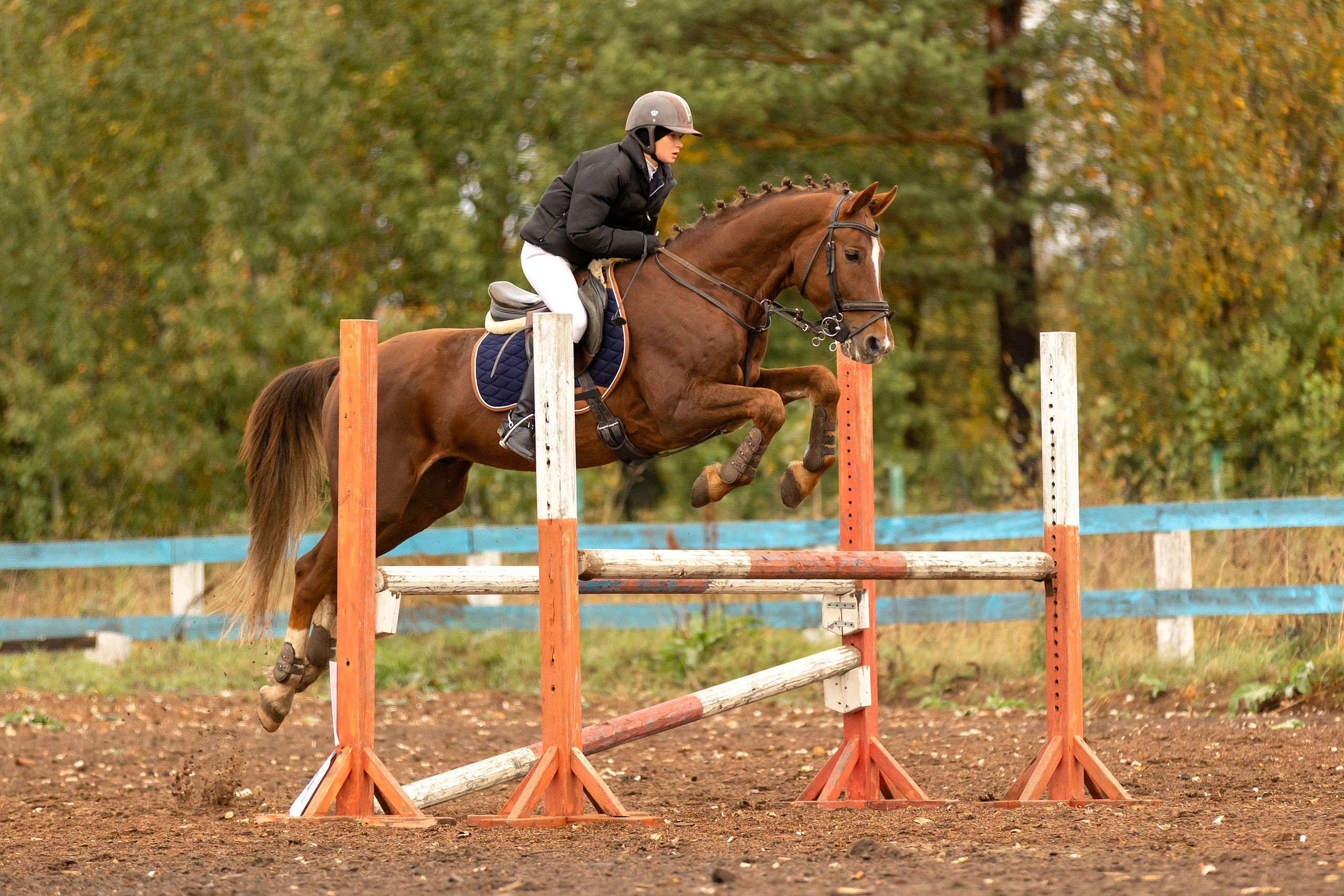 Соревнования по конному спорту. Конный фотограф Валынкина Лера