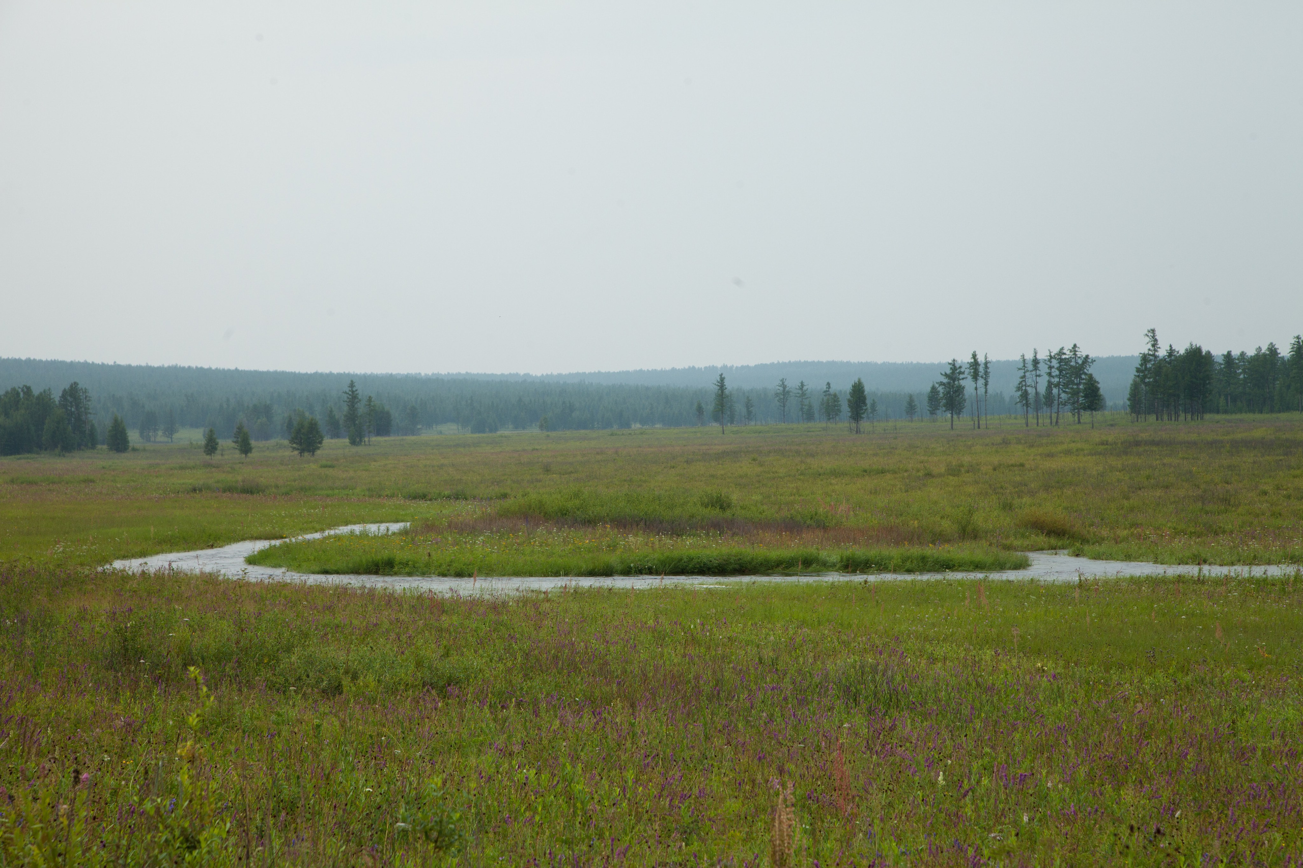 Фото Природы Забайкалья. Студия Максима Белослюдцева
