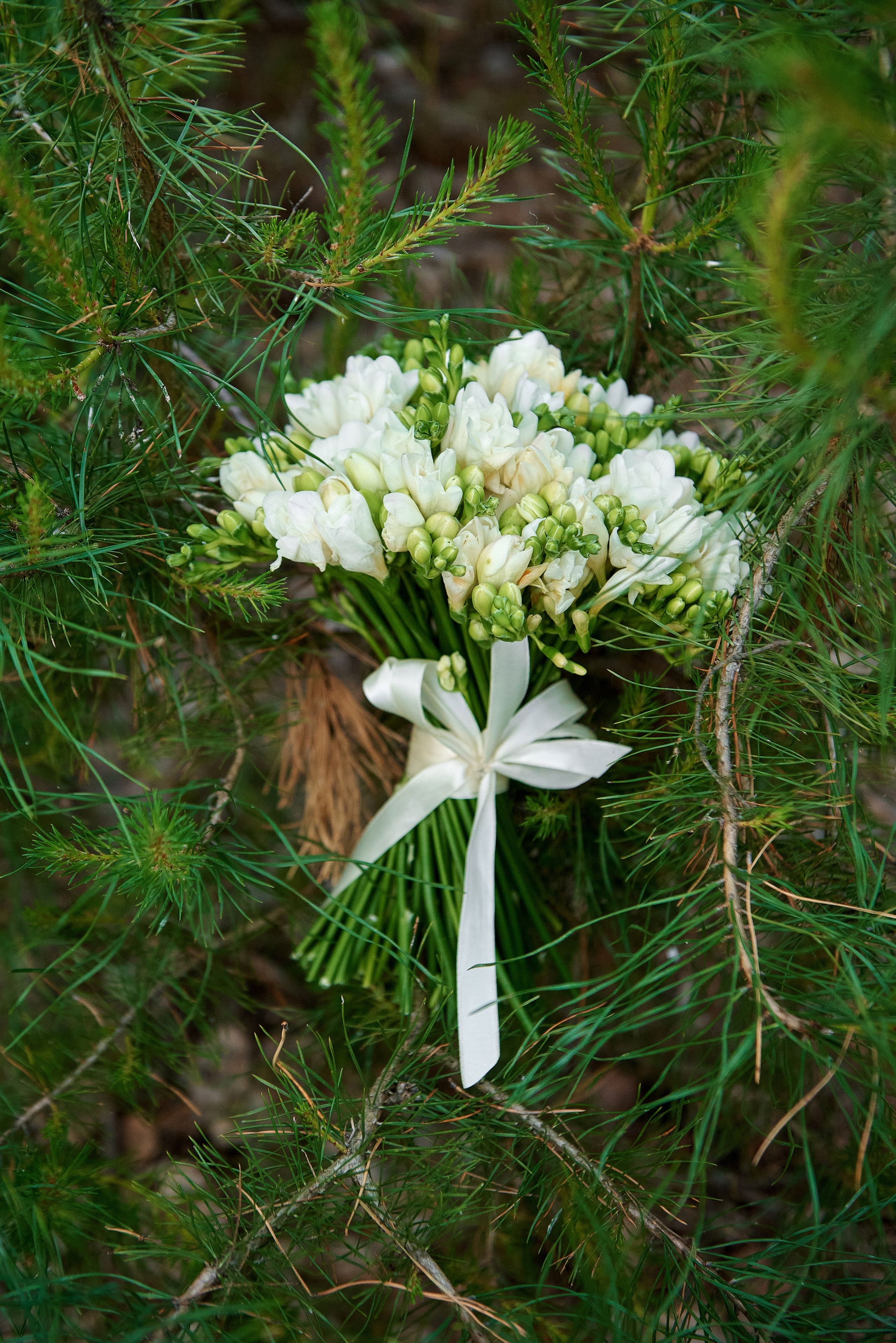 Свадебная фотография в Пензе. Свадебный и семейный фотограф Петр Гатыло