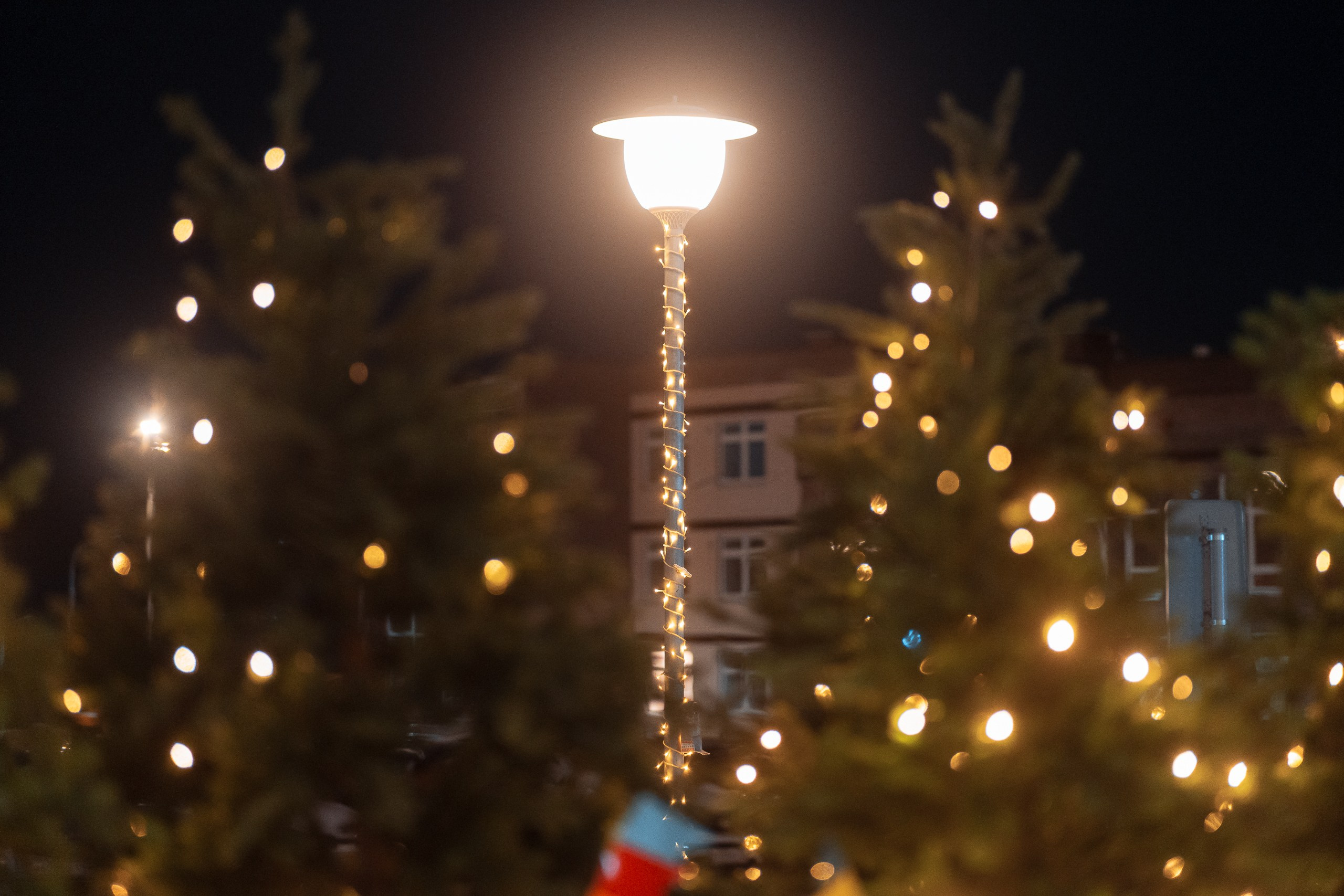 Сити-район «Академгородок». Репортажный фотограф Красноярск Алекс Чампакхам