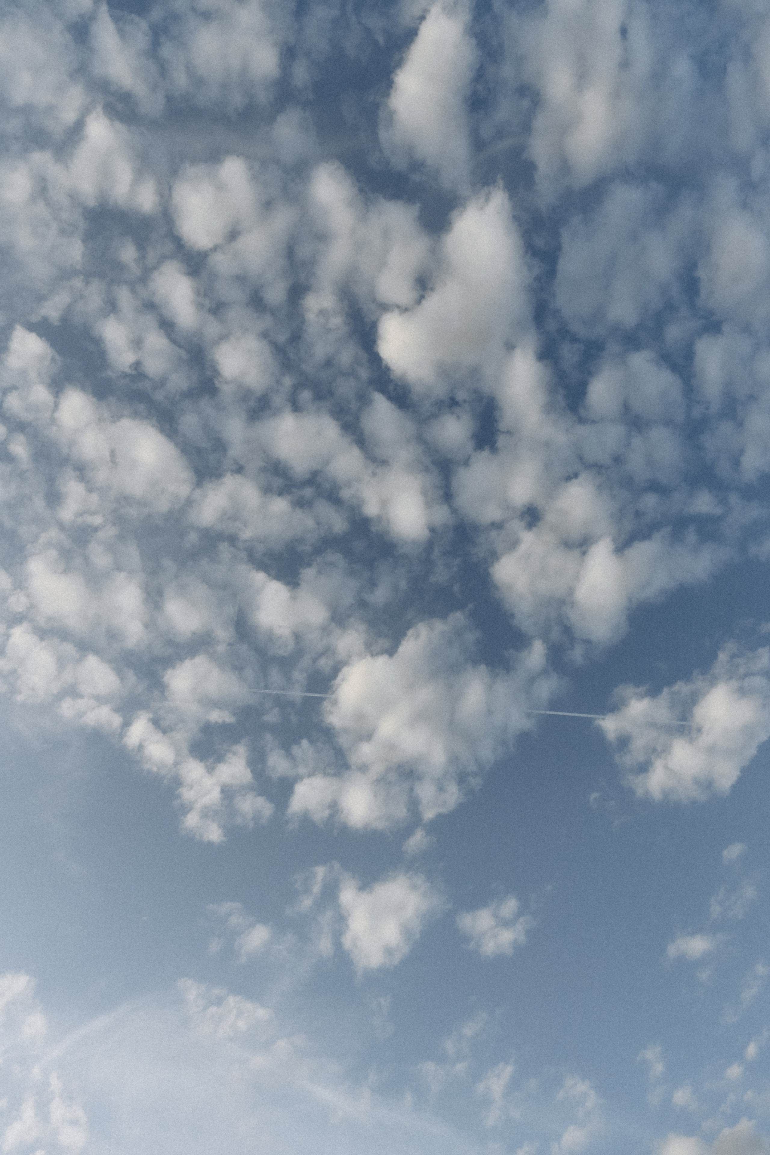 Алексей, София и Федя. Фотограф Сочи Адлер Красная Поляна Ошутина Анастасия