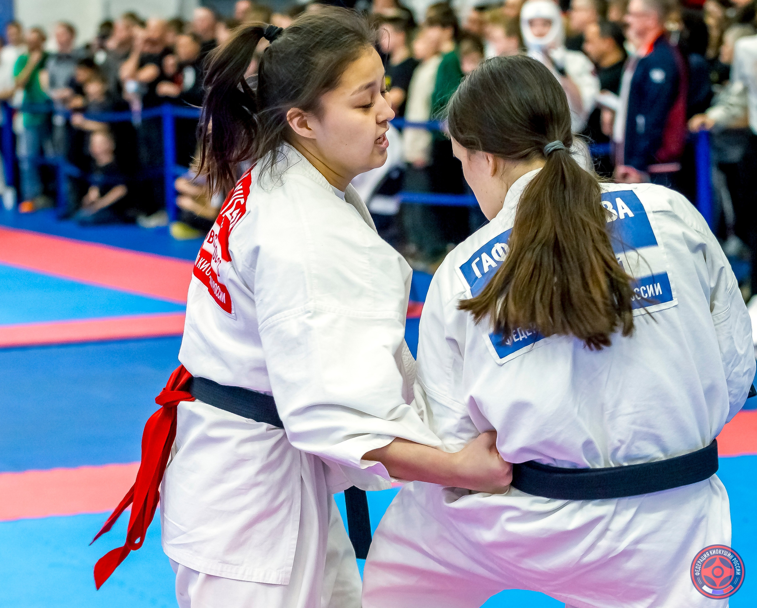 Международный турнир по киокушин «Открытый кубок Seiken». Репортажная съемка в Москве и области. Анималистика