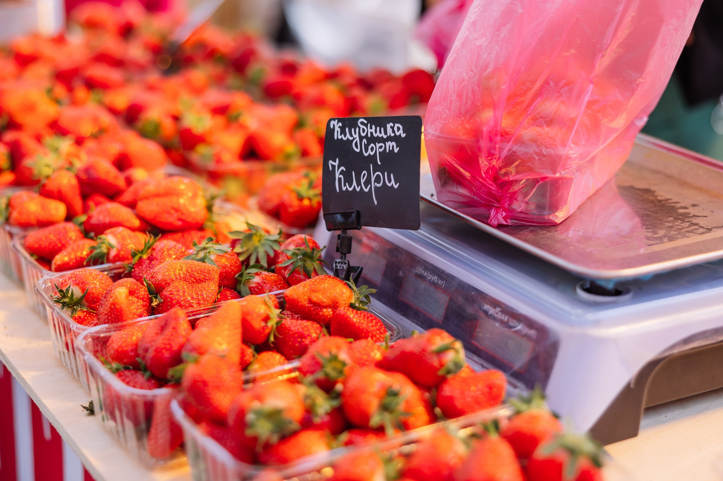 Репортаж с клубничного фестиваля. Фотограф в Краснодаре