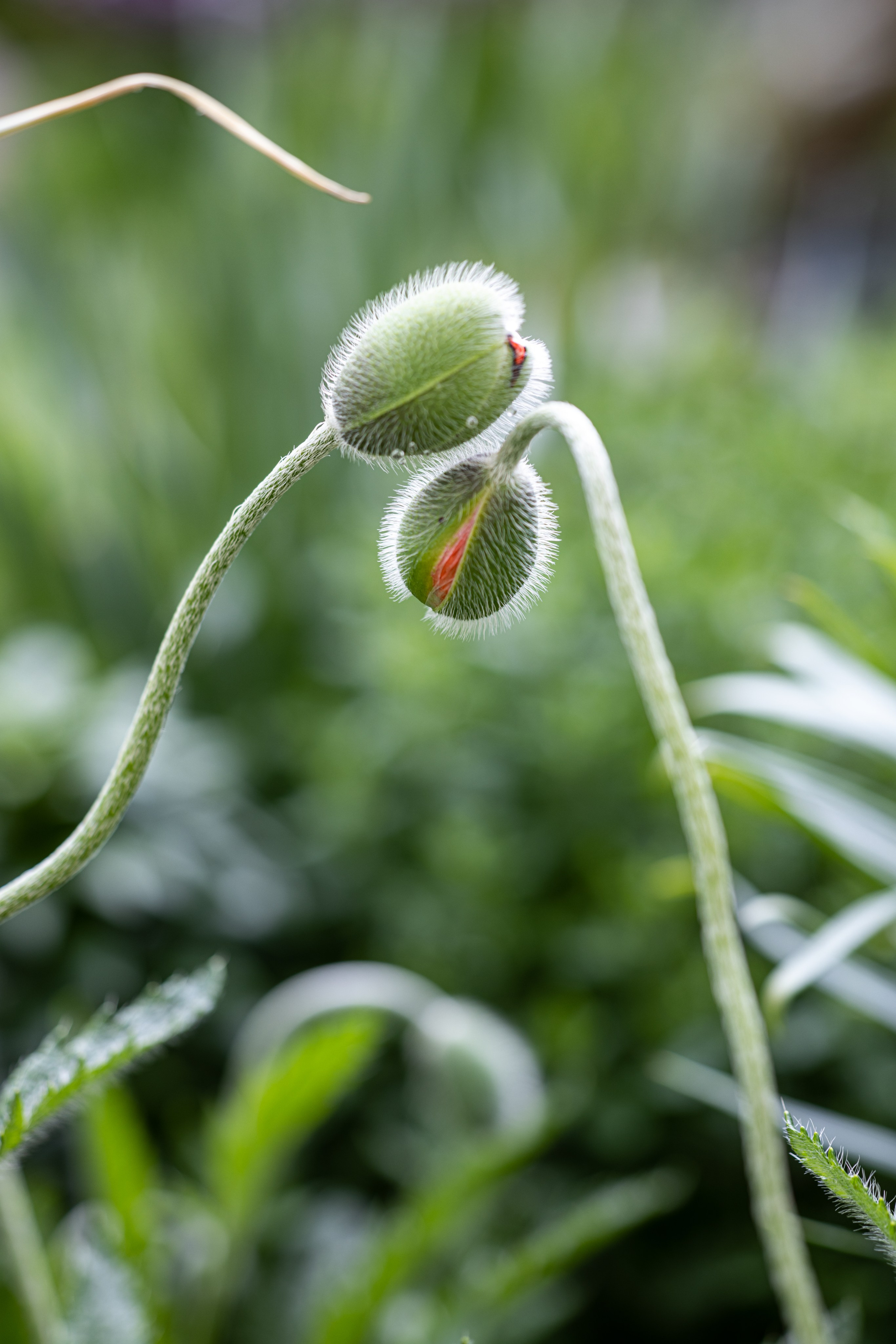 Macro. Фотограф на Юге России