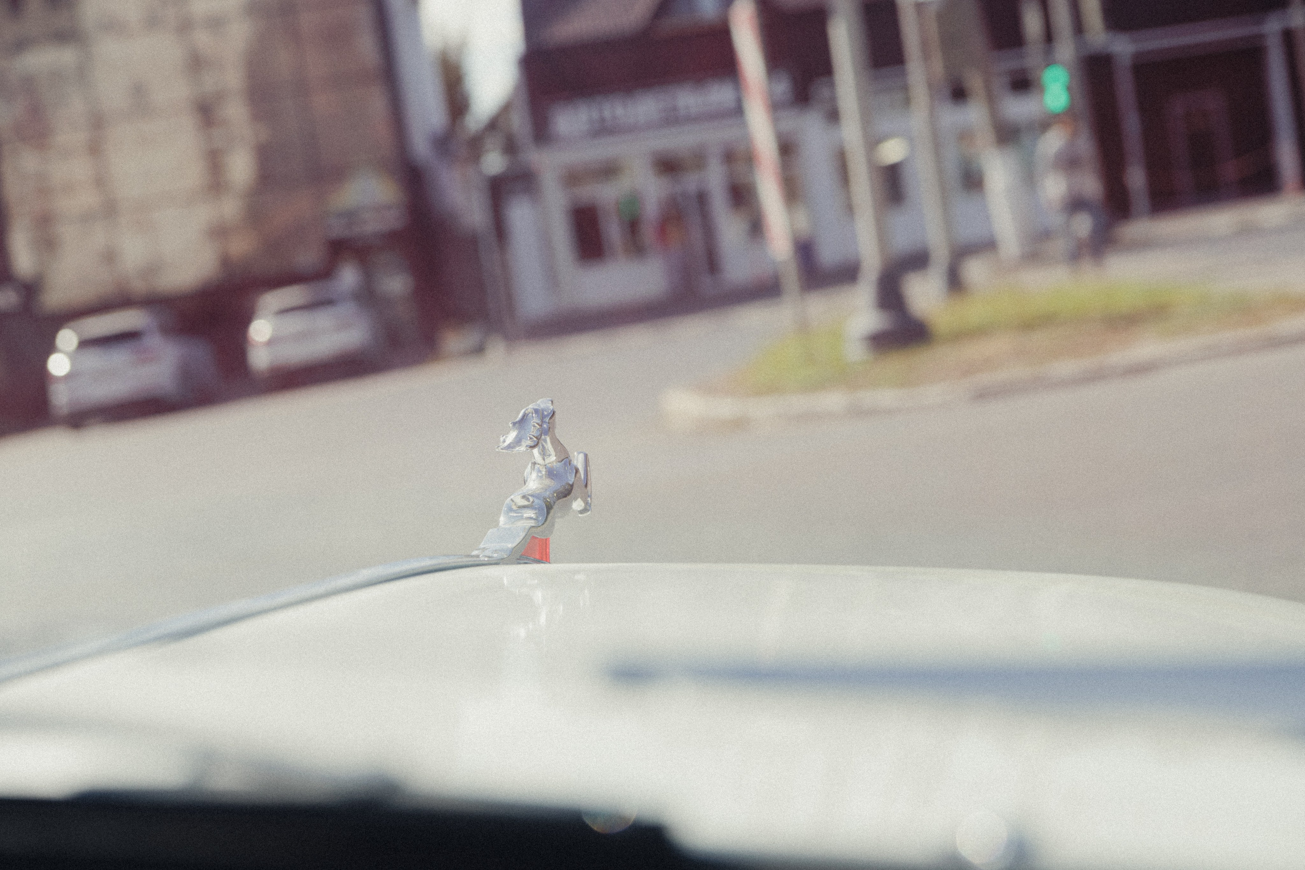 Катя игорь. Свадебный фотограф Максим Яненко в Волгограде